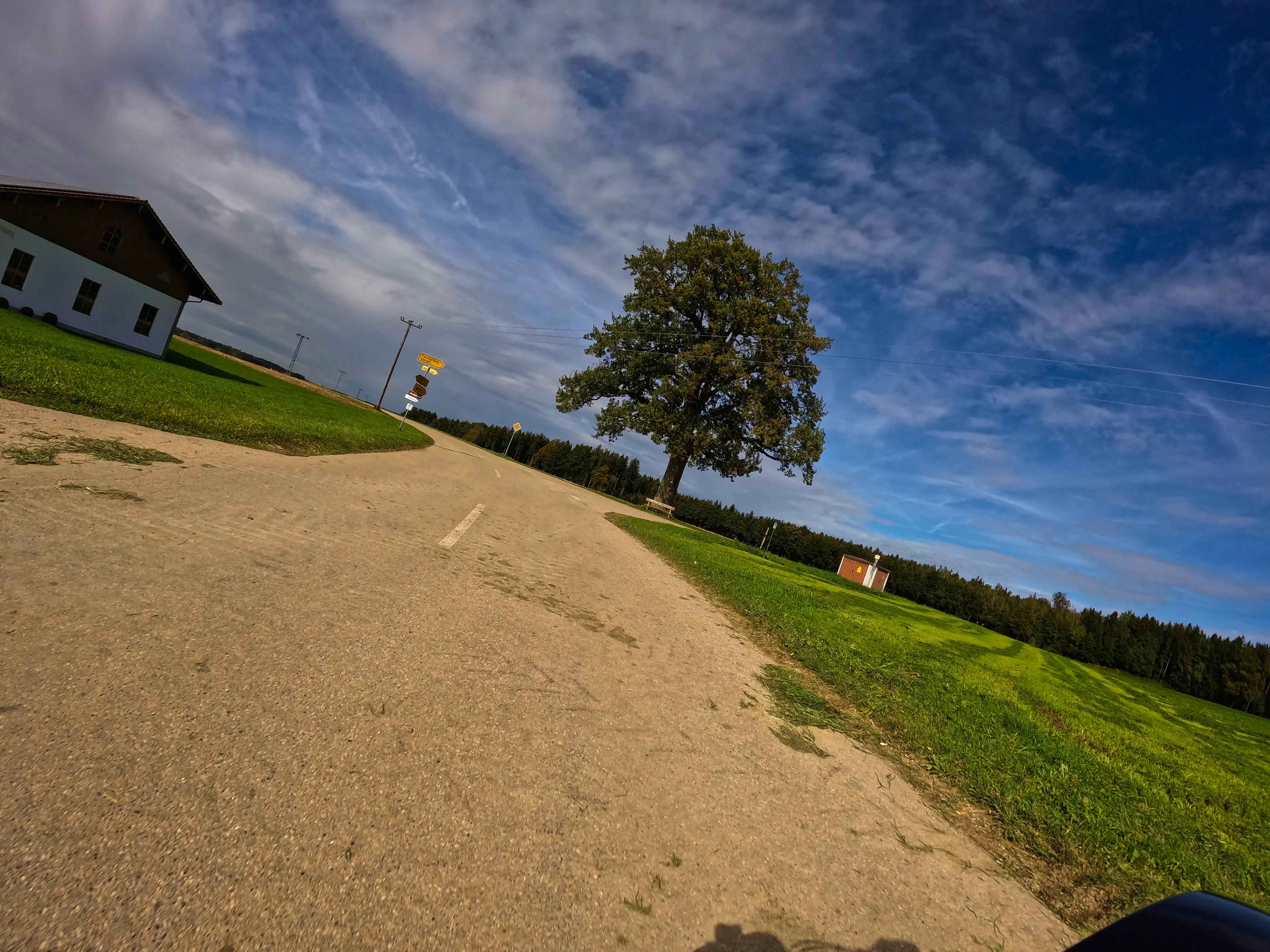 Gras auf der Straße