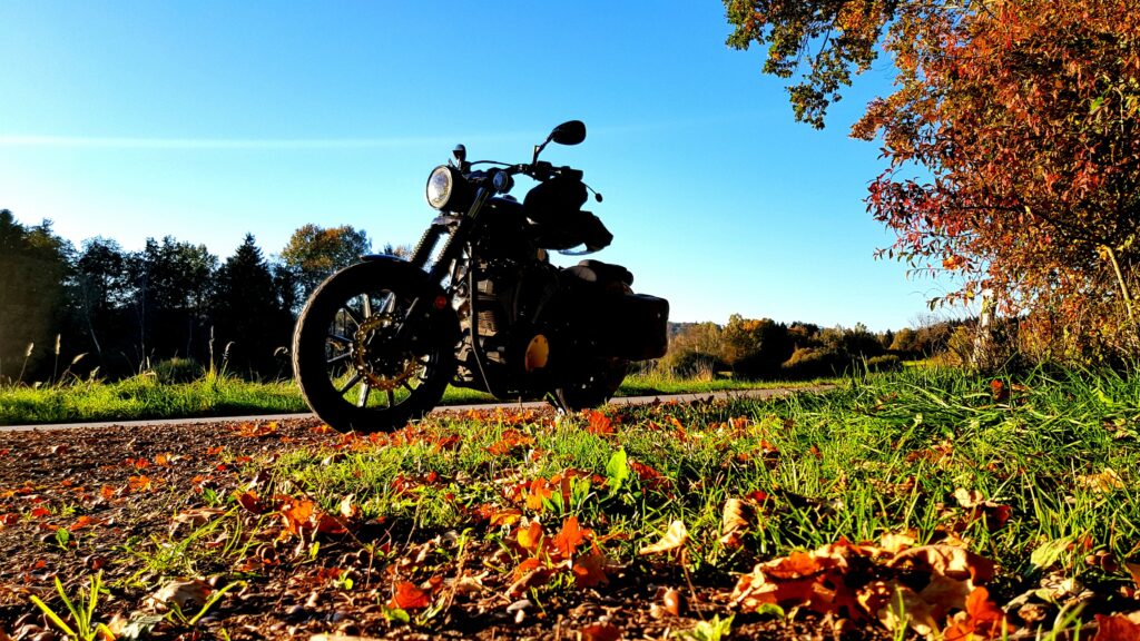 Bolt - Hausrunde - Herbst