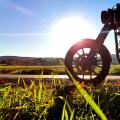 Herbstsonne auf der Hausrunde