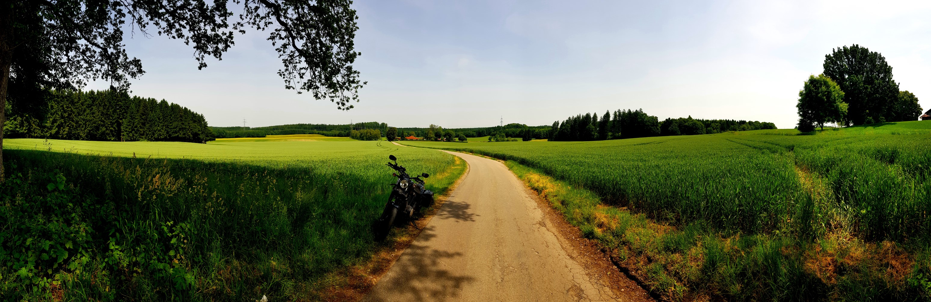 Andere Stelle, gleiche Blickrichtung