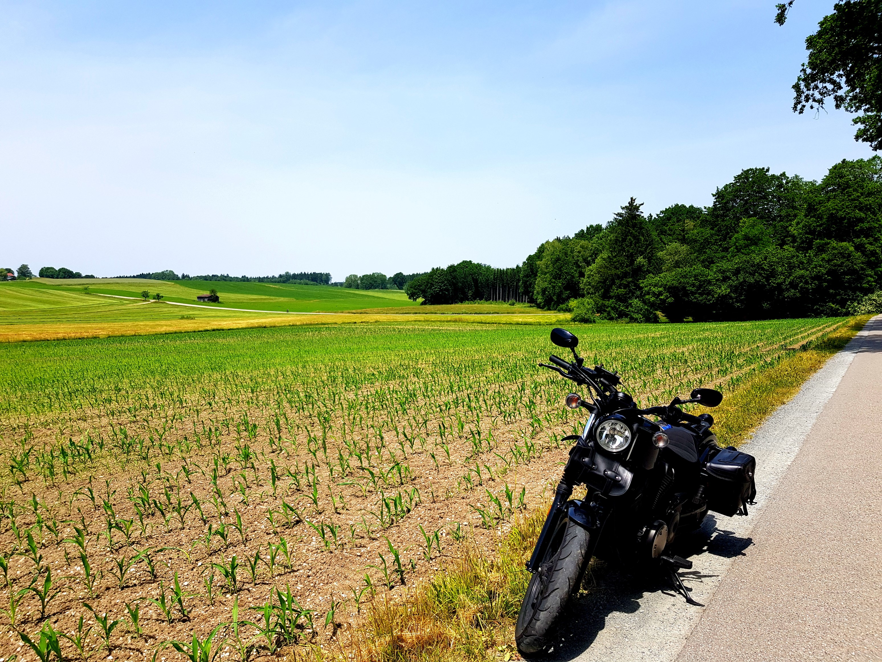 Blick auf&hellip; Nichts - aber sehr idyllisches Nichts
