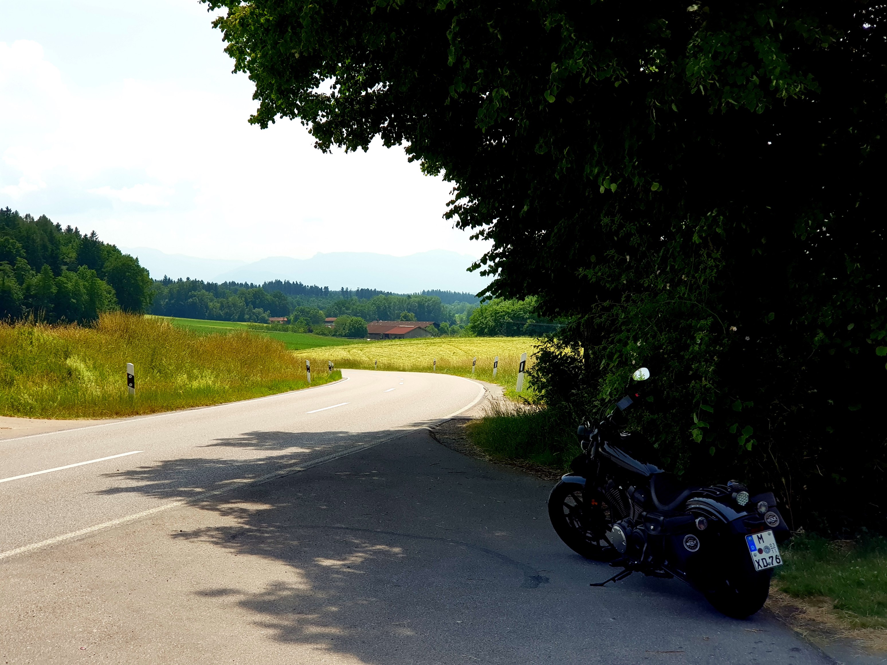 Schattiges Plätzchen