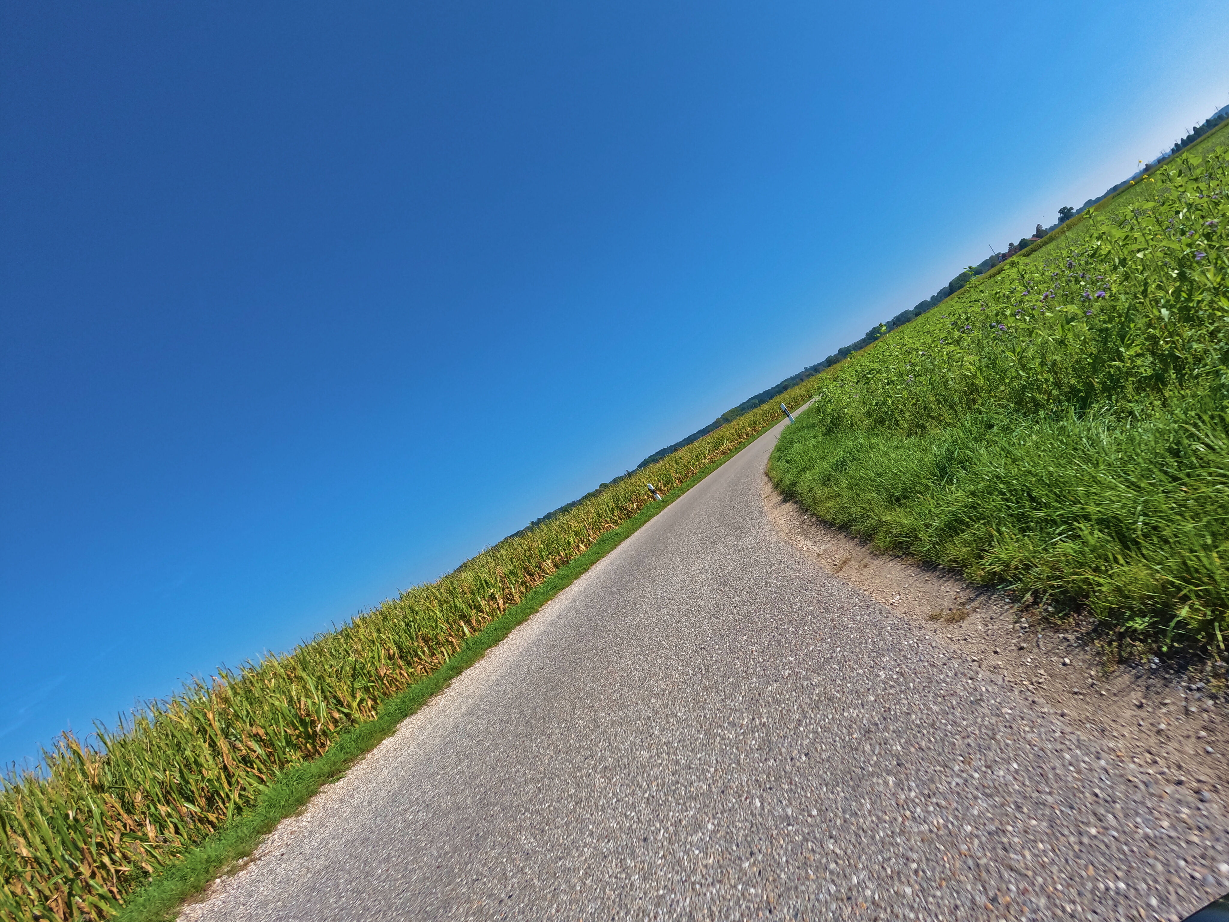 Das Wegelchen wird schmäler &hellip;