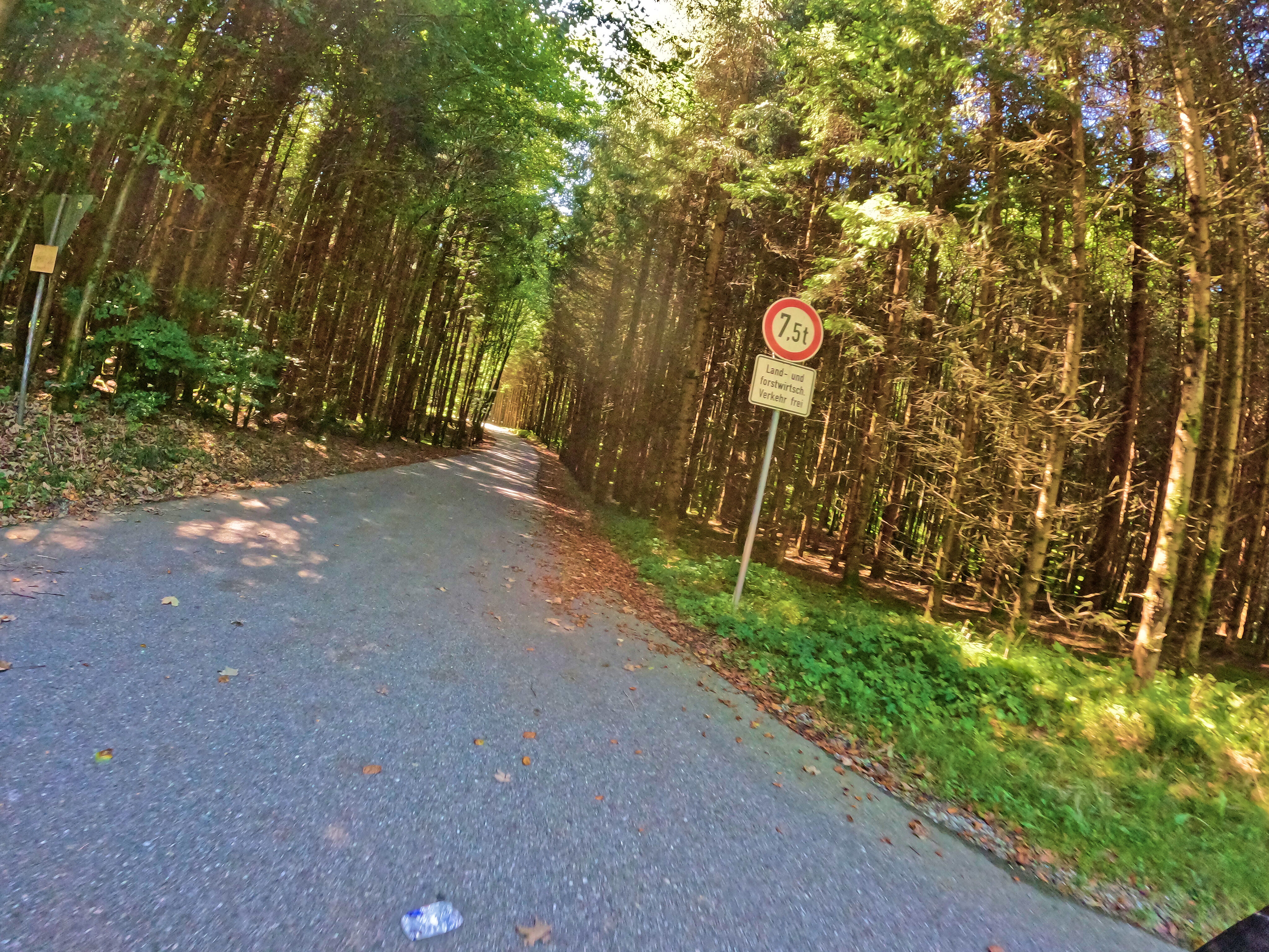 Dann wieder &hellip;