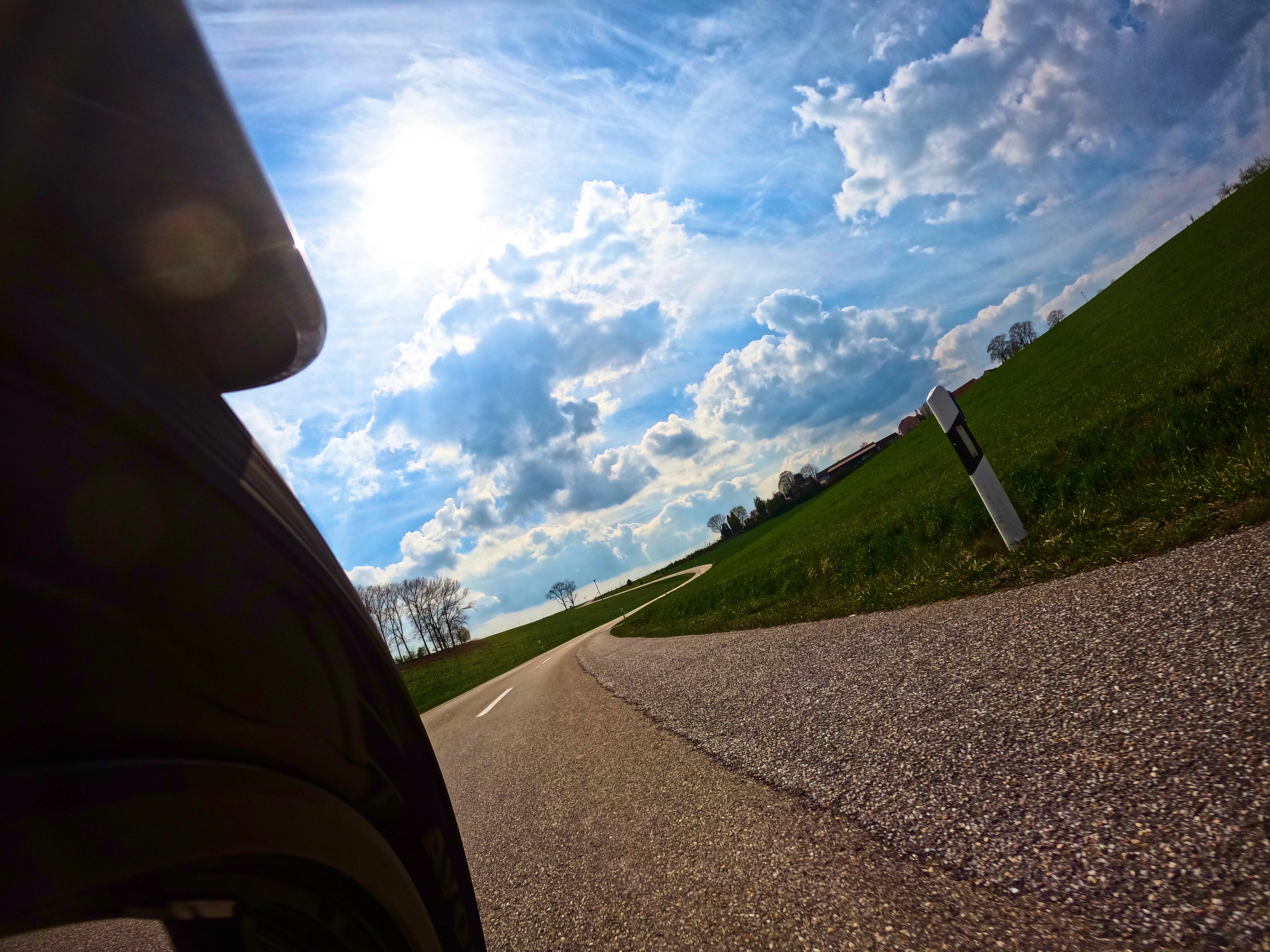 Dort oben, auf der Anhöhe bei der Baumreihe