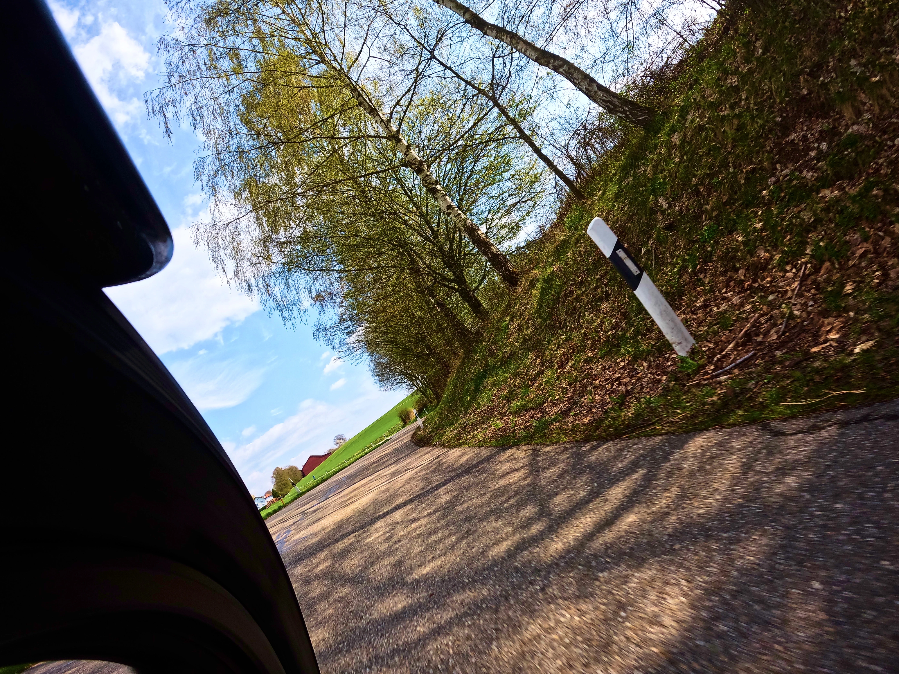 Die Bäume tragen bereits ein wenig grün