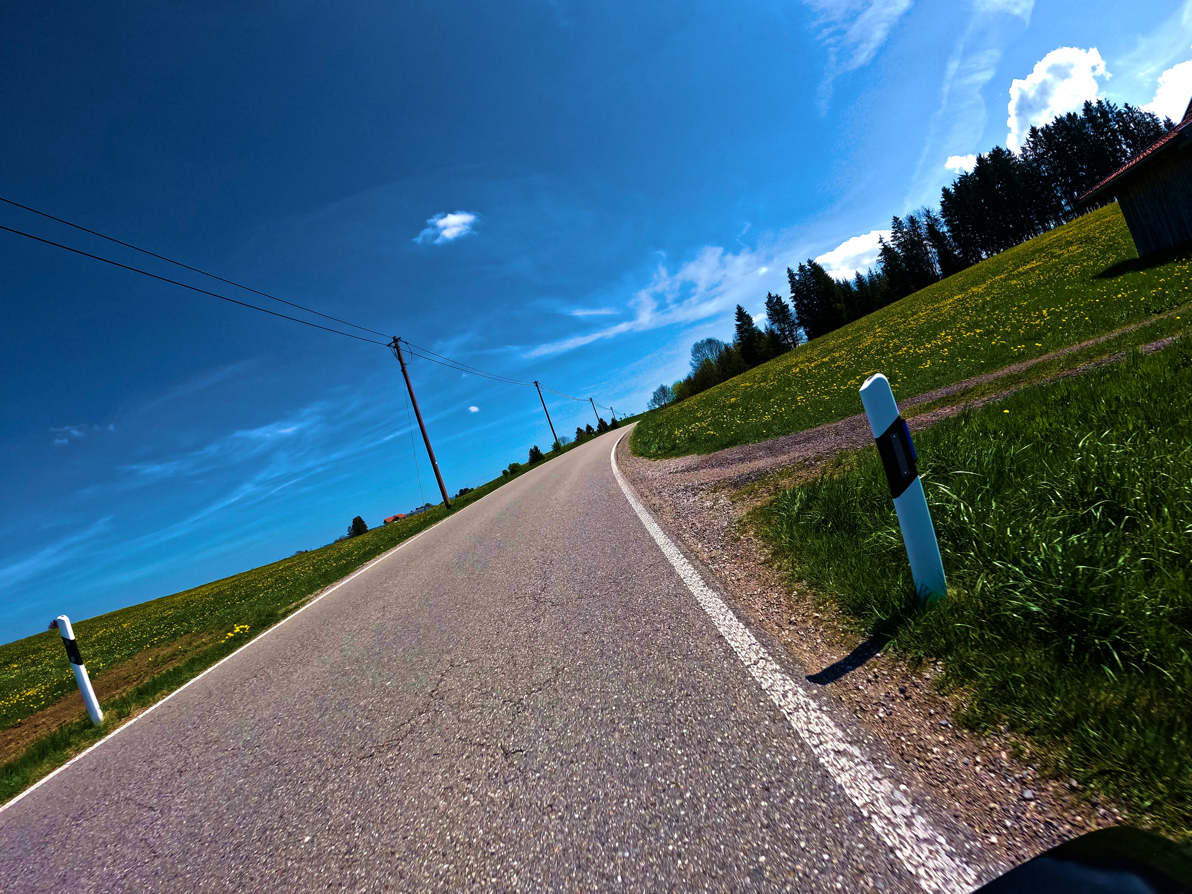 Durch grün-gelbe Wiesen