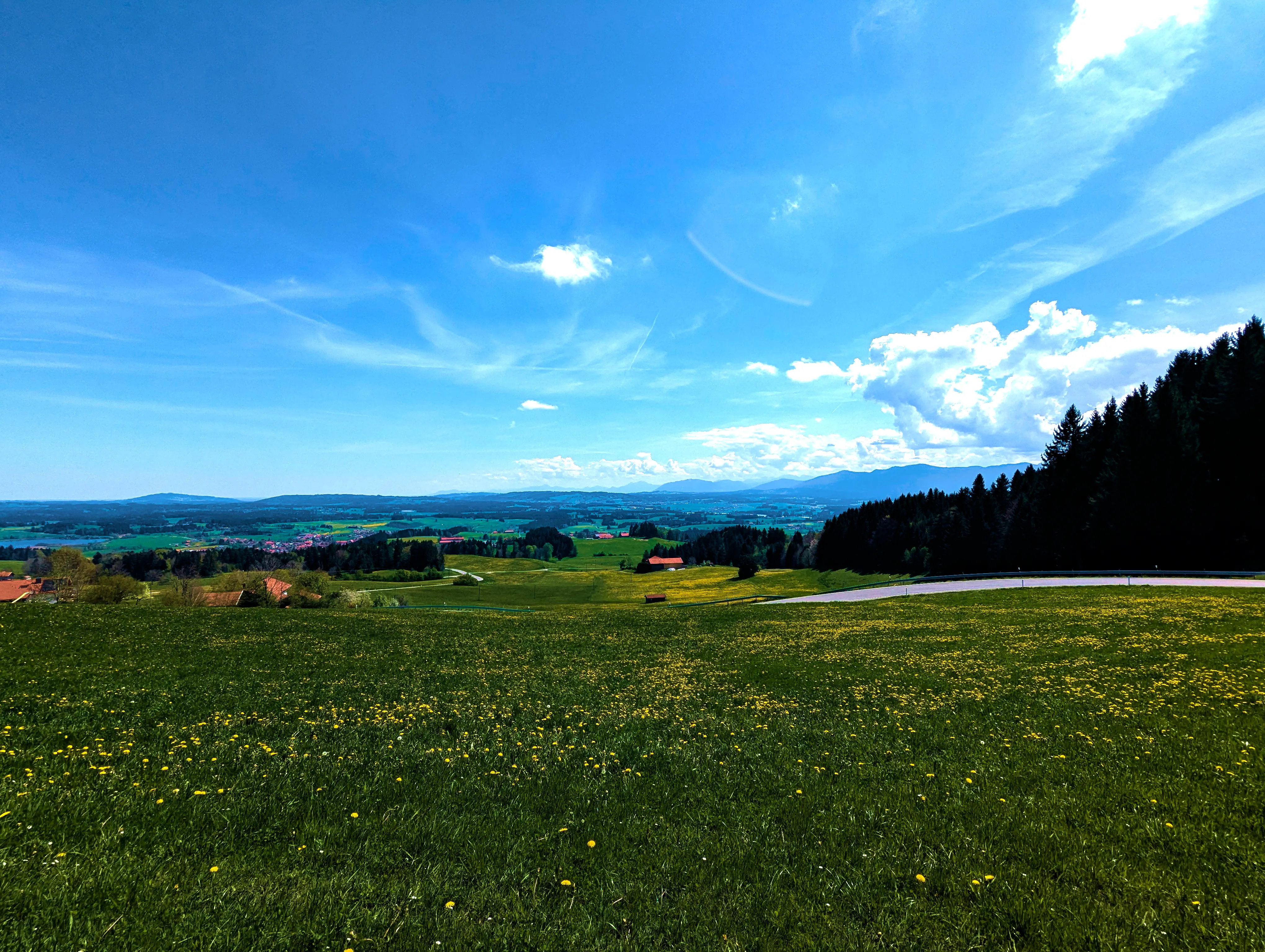 Ausblick vom Auerberg, halbe Höhe