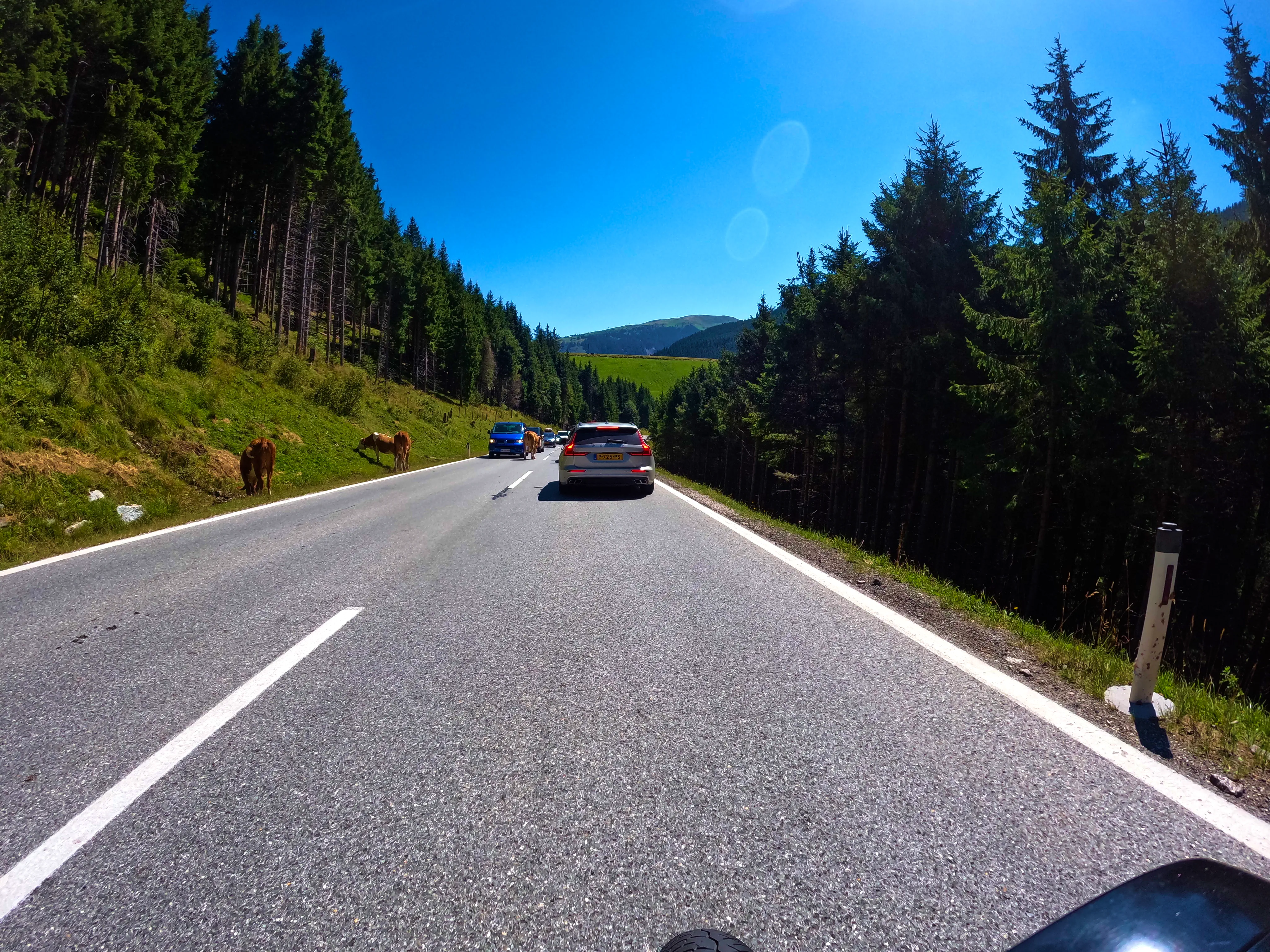 Verzögerung durch Kühe &hellip;