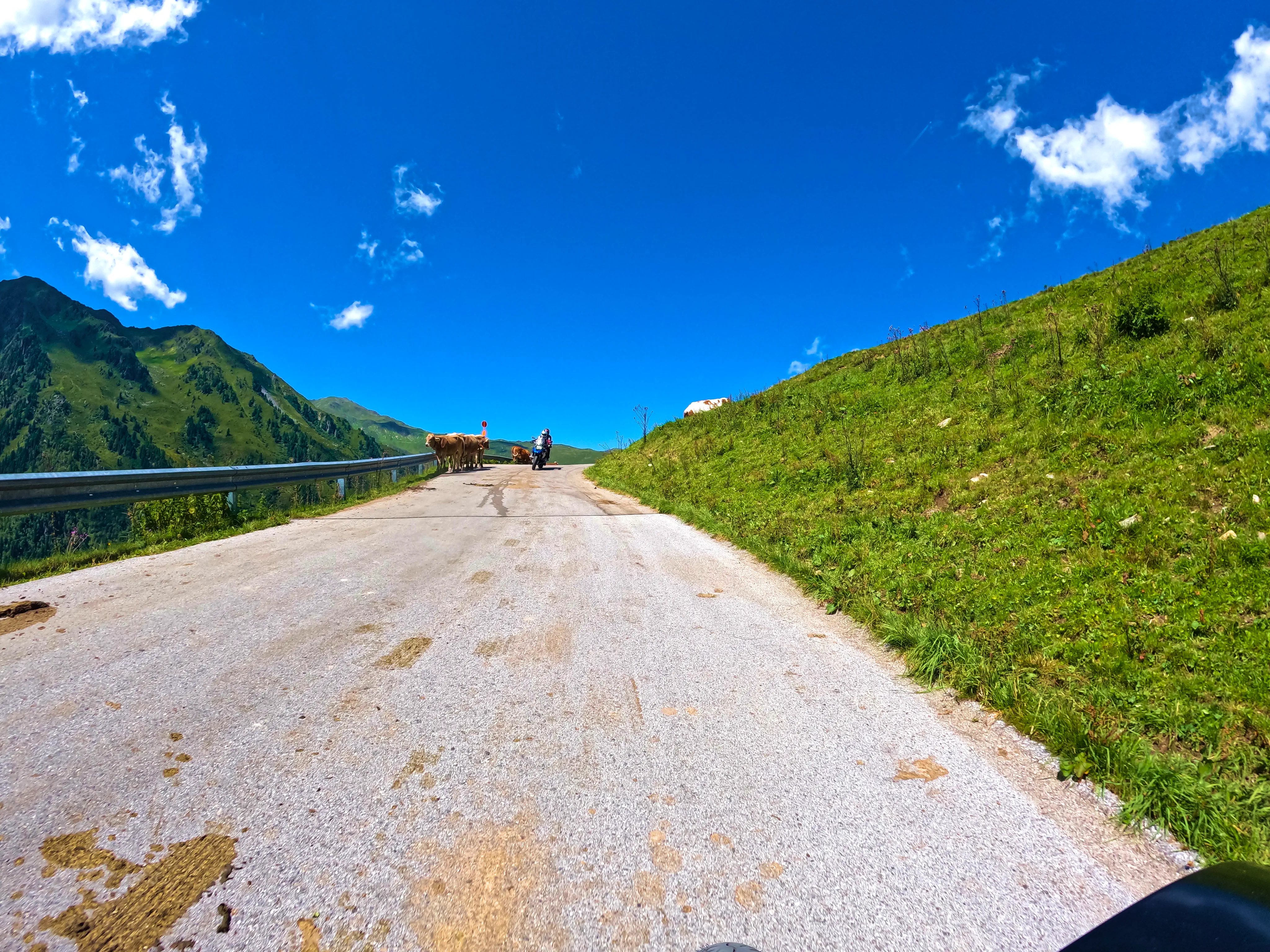 &hellip; ihre Hinterlassenschaften &hellip;