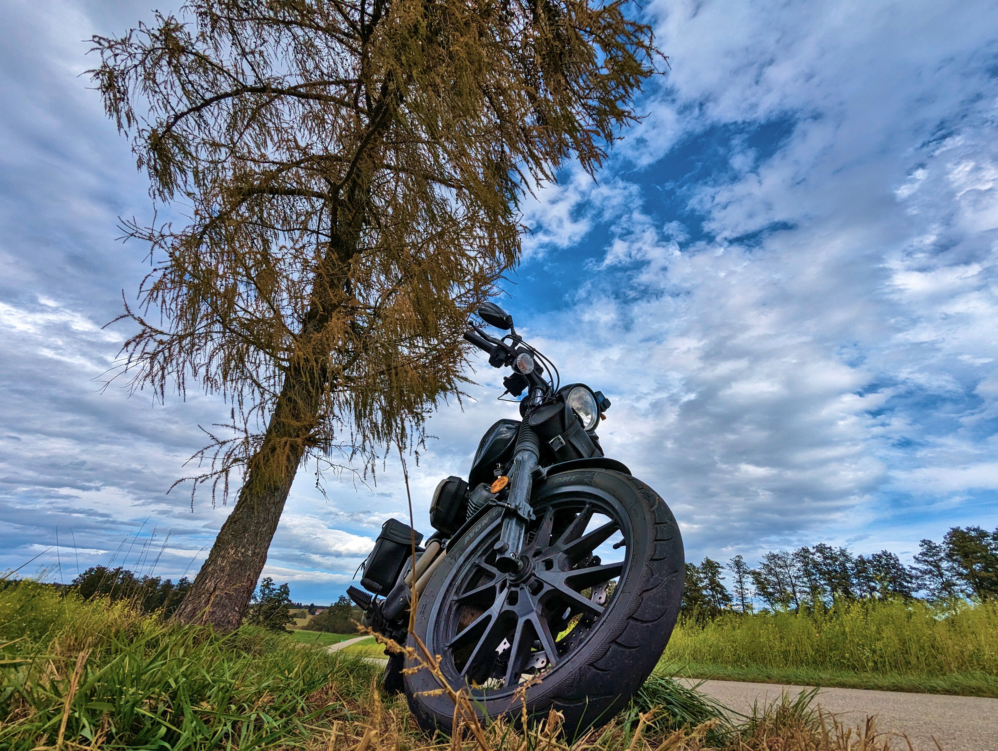 &hellip; bettelte förmlich &hellip;