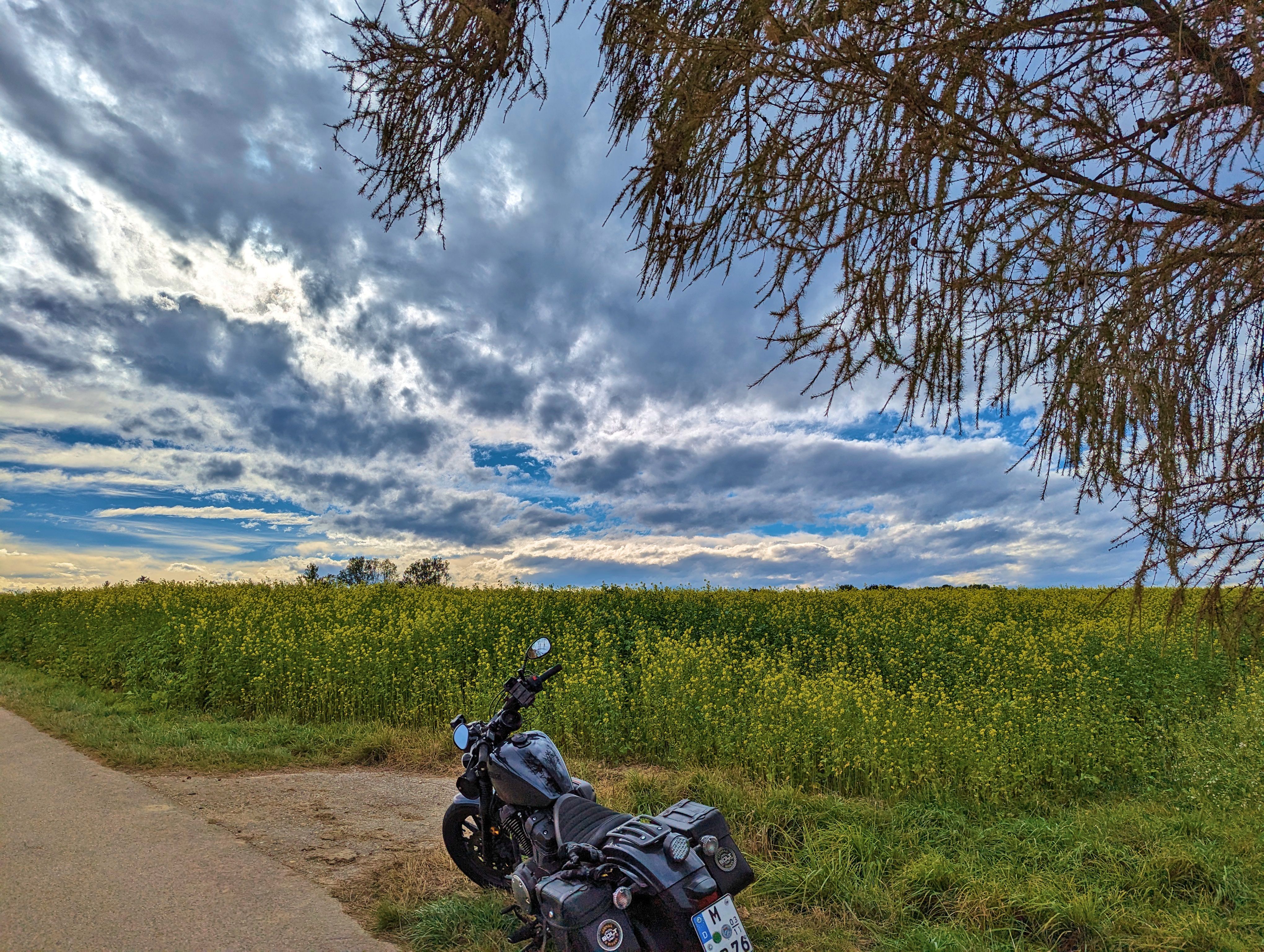 Der Baum, das Feld, die Wolken!