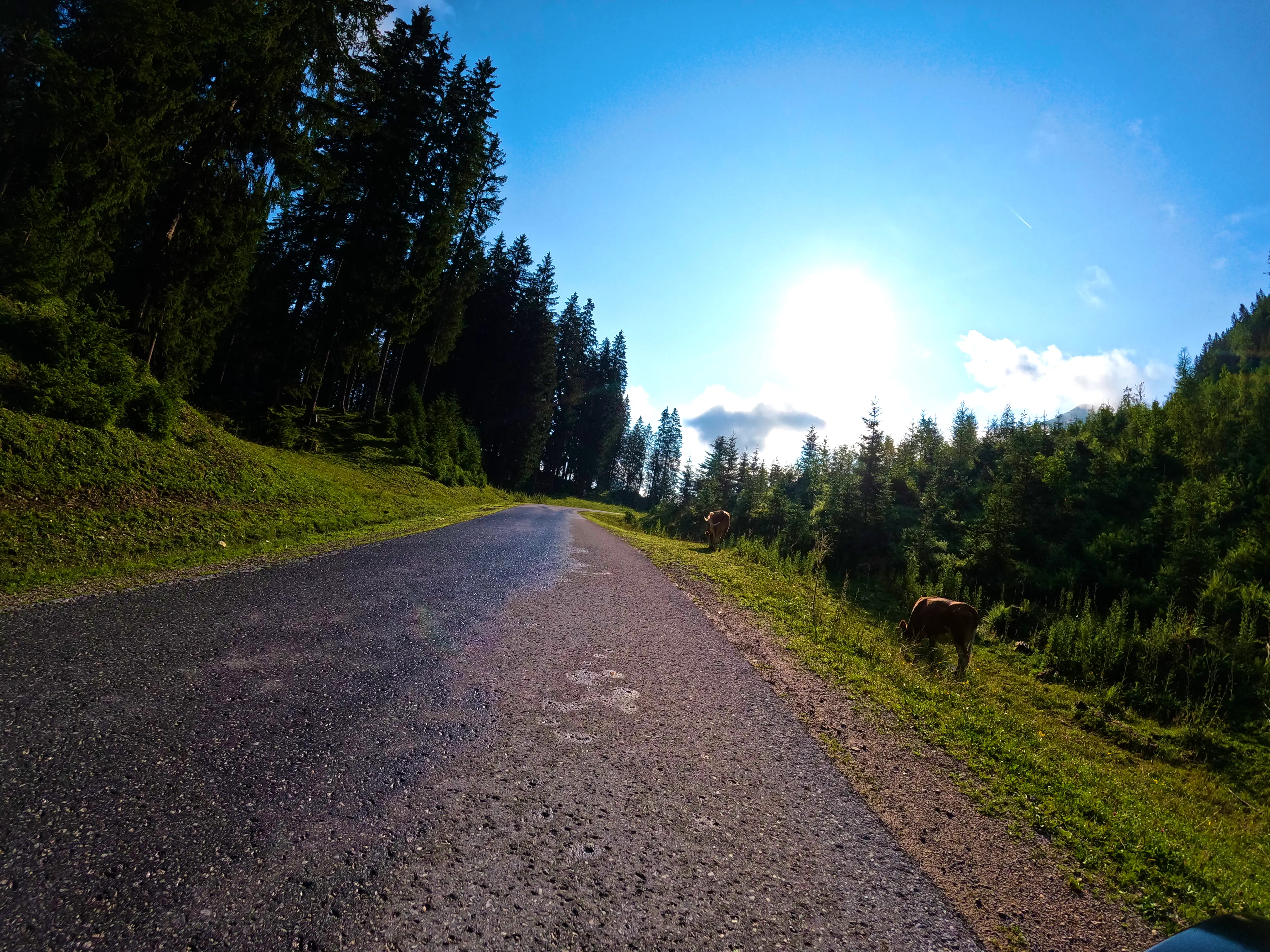 Über noch feuchte &hellip;