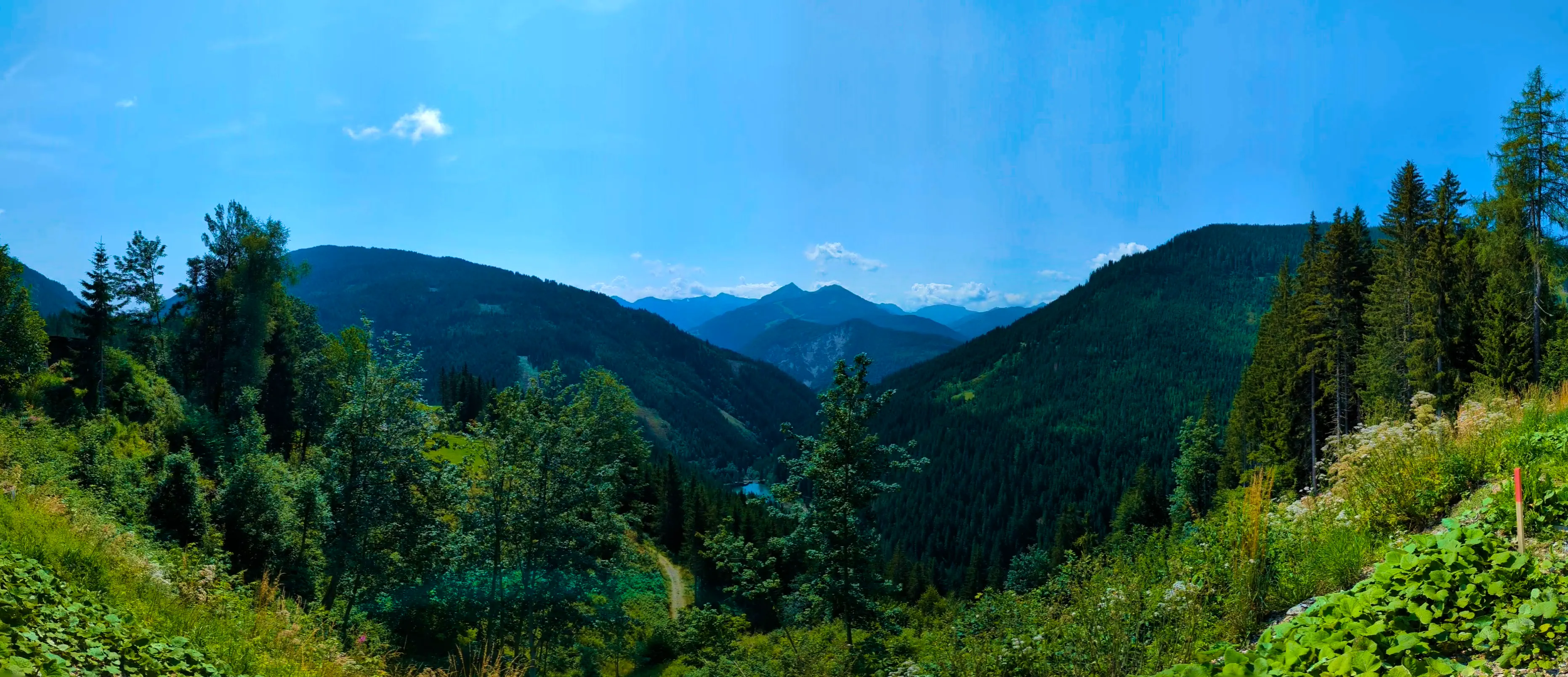 Panorama-Blick Filzmoos