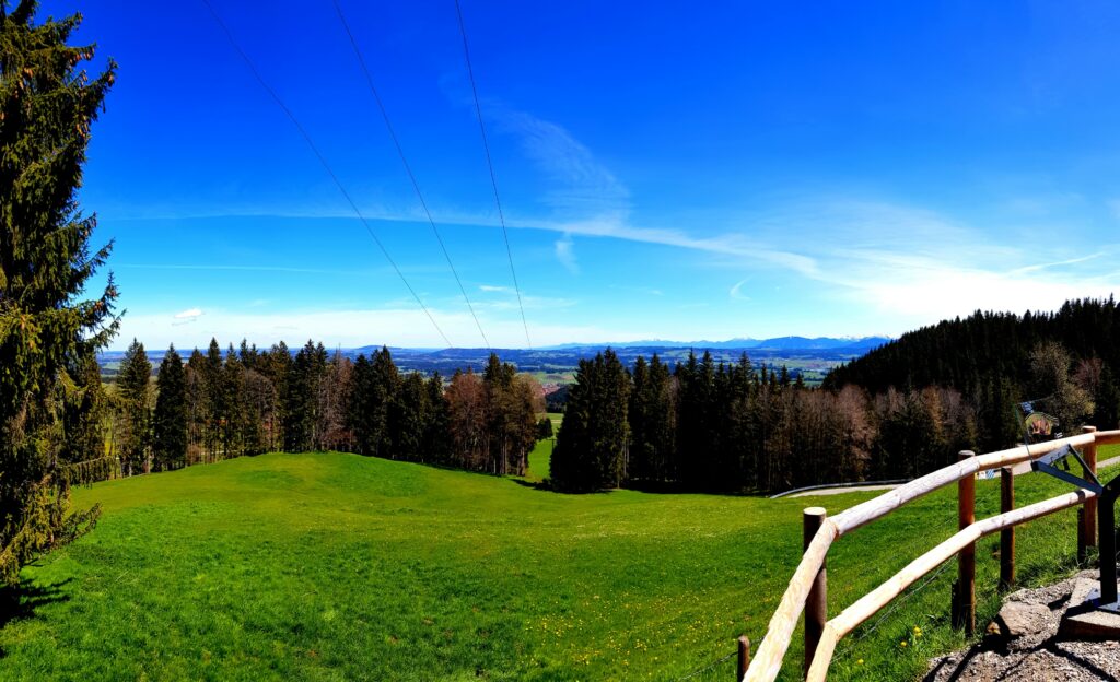 Ausblick von Auerberg, mit: Löwenzahn!