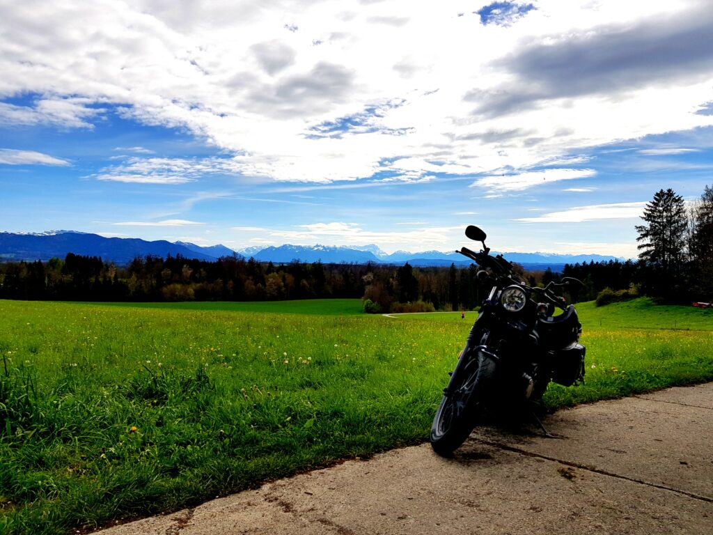 Kurz vor Peretshofen. Und siehe da: Löwenzahn.