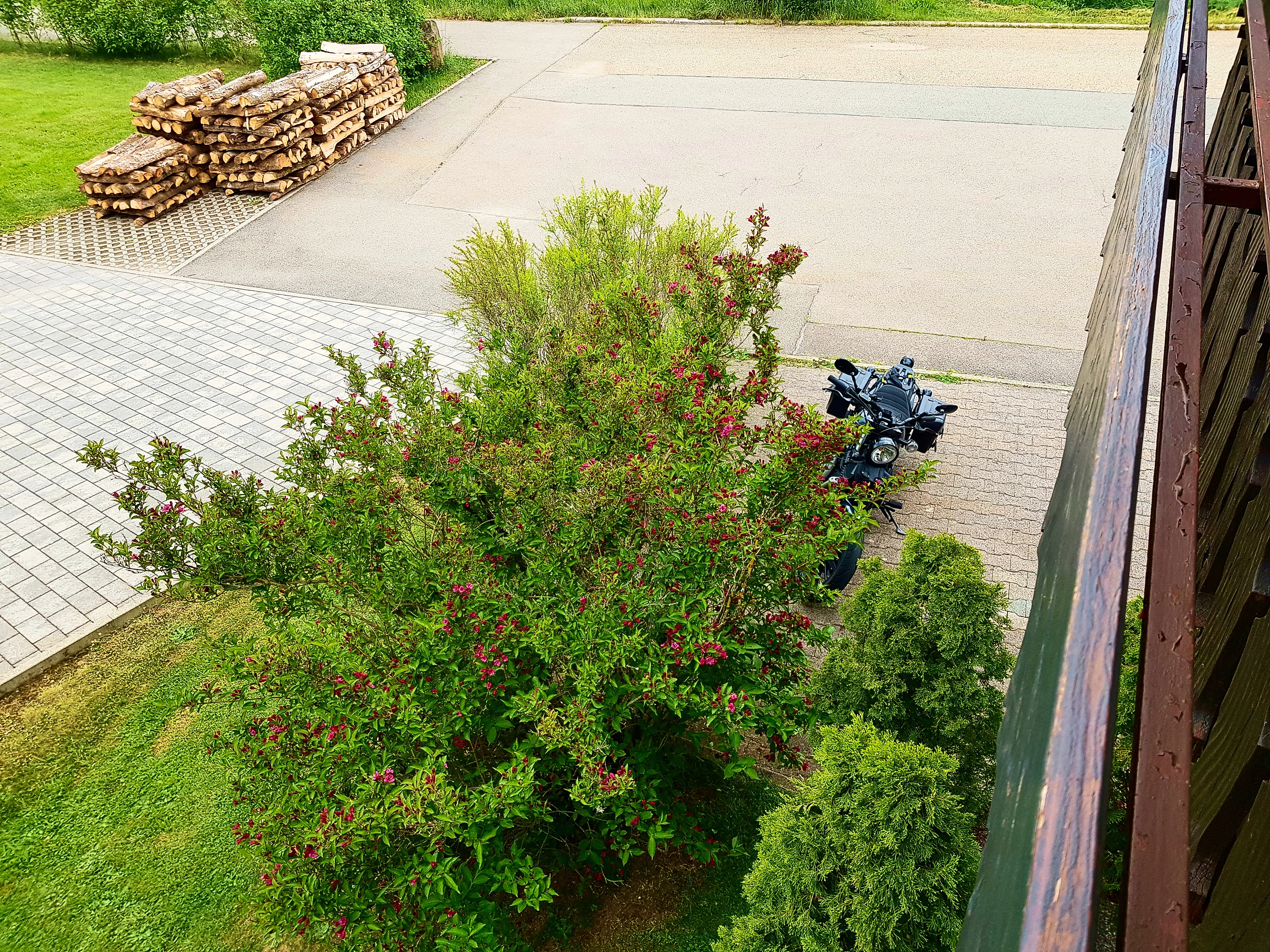 Die Bolt parkt in Sichtweite vor meinem Balkon