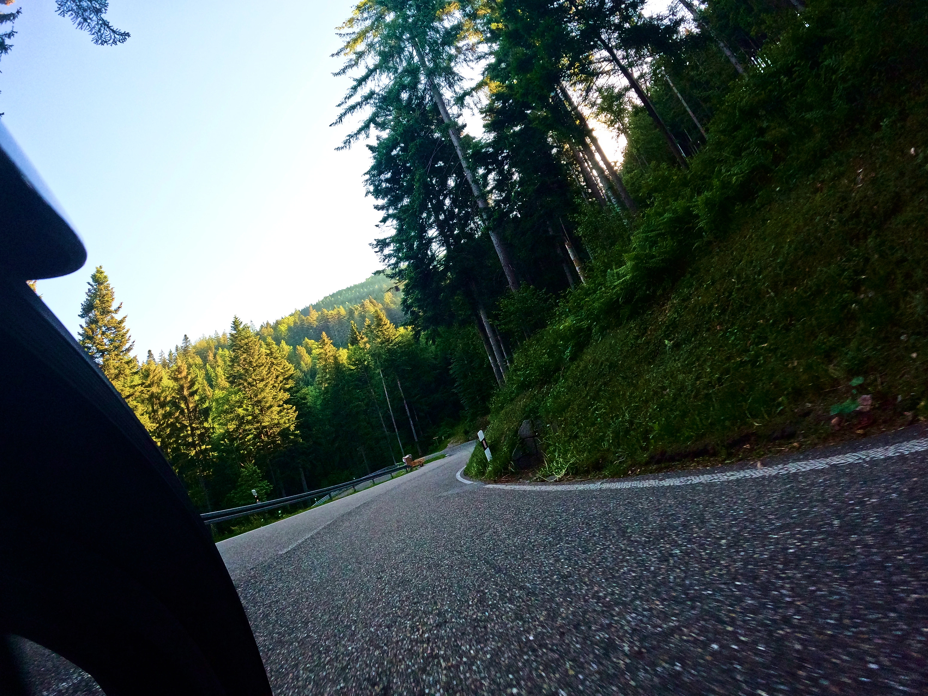 Kurvige Straßen, dichte Wälder