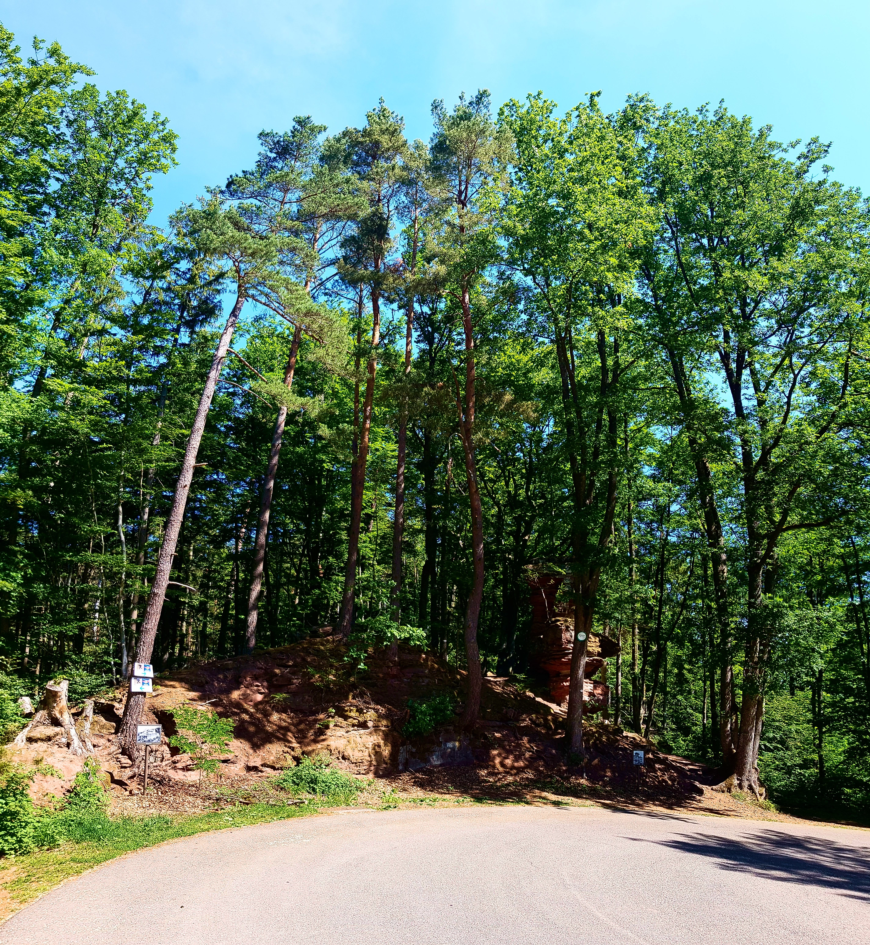 Kurve am Col du Goetzenberg