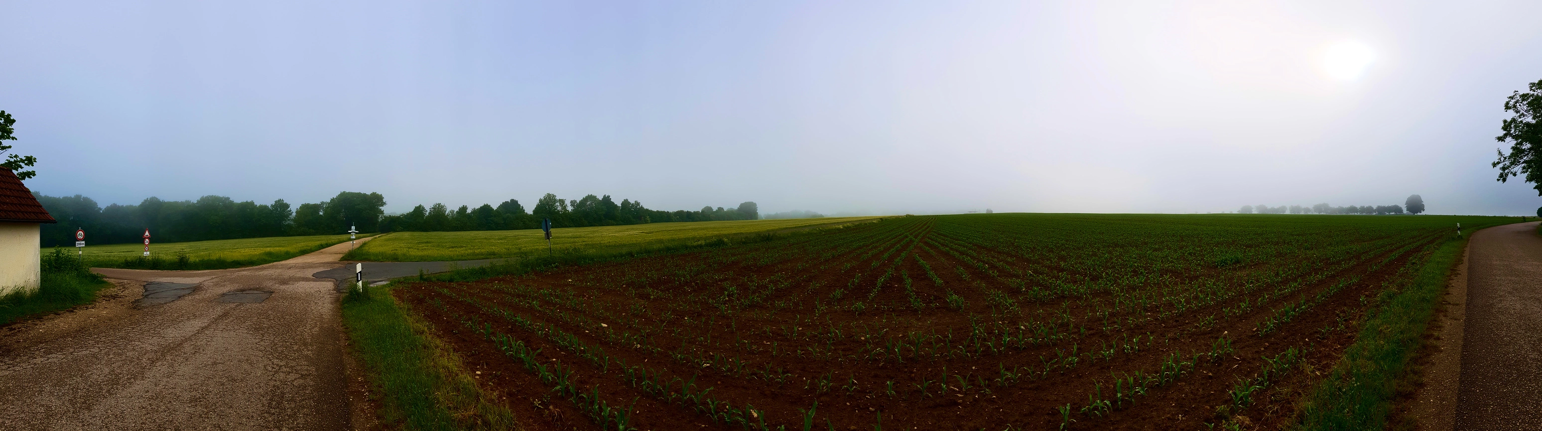Ausblick auf die nebelige Landschaft