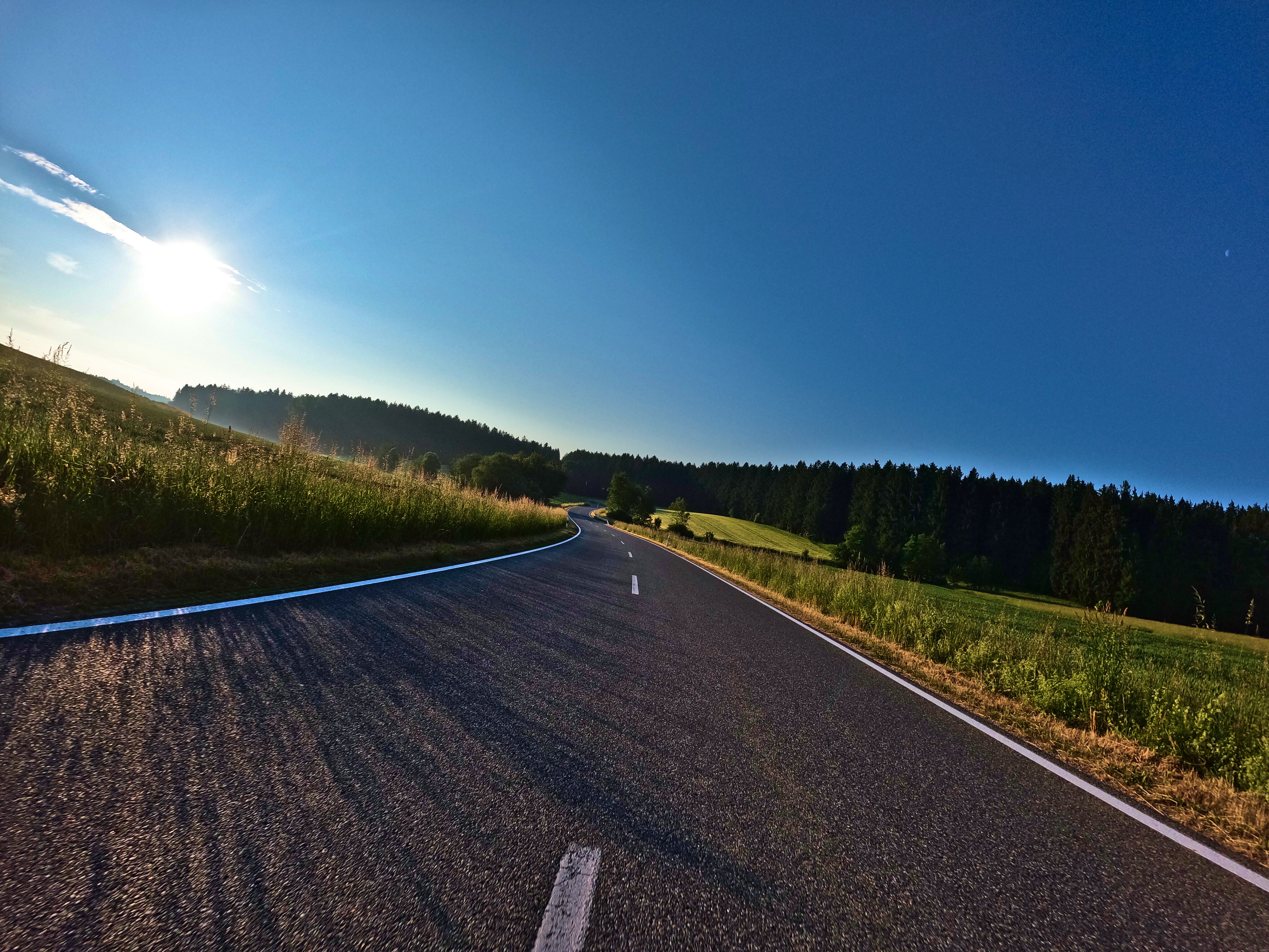 &hellip; der Sonne entgegen.