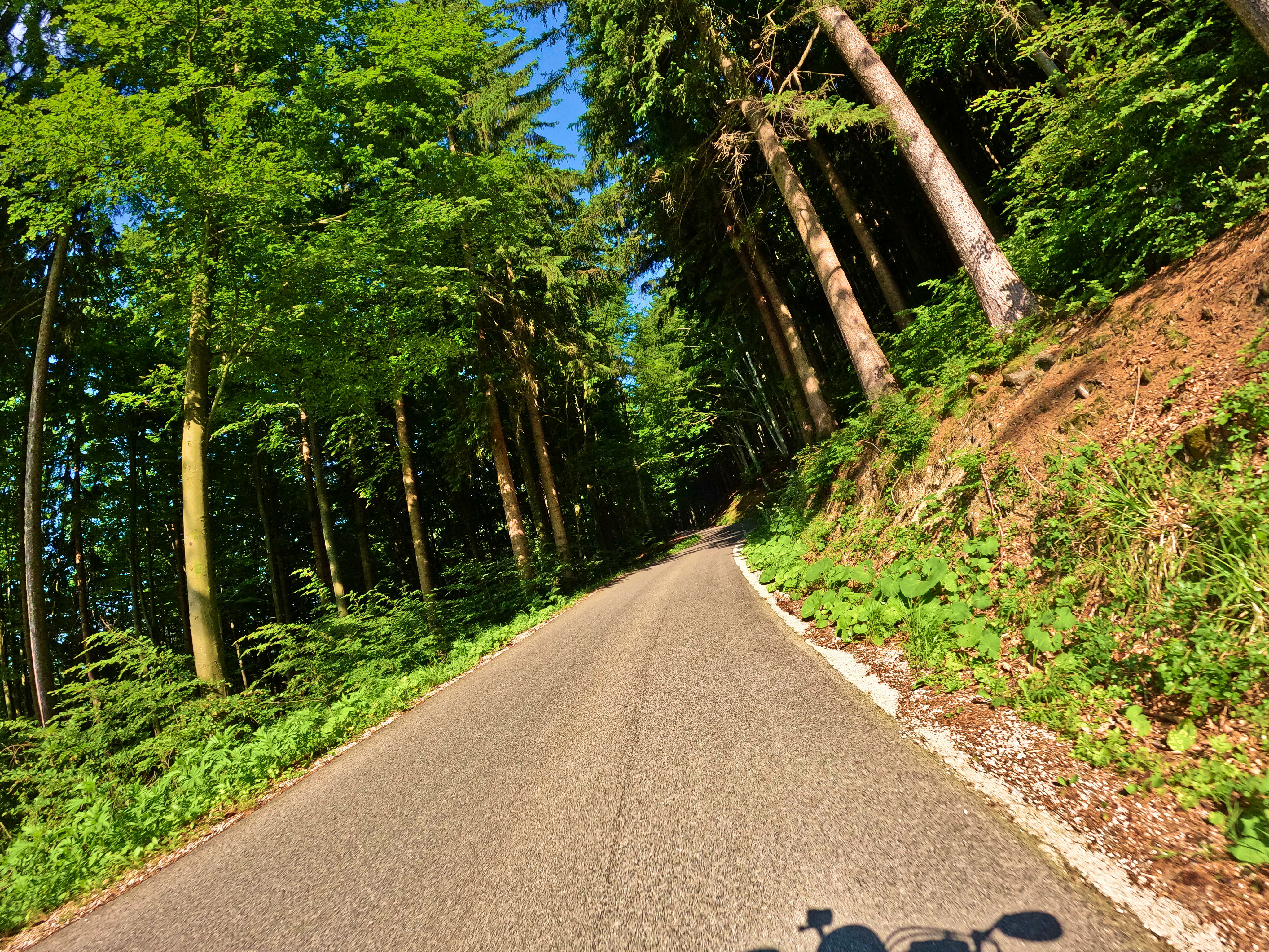 &hellip; und durch Wälder &hellip;