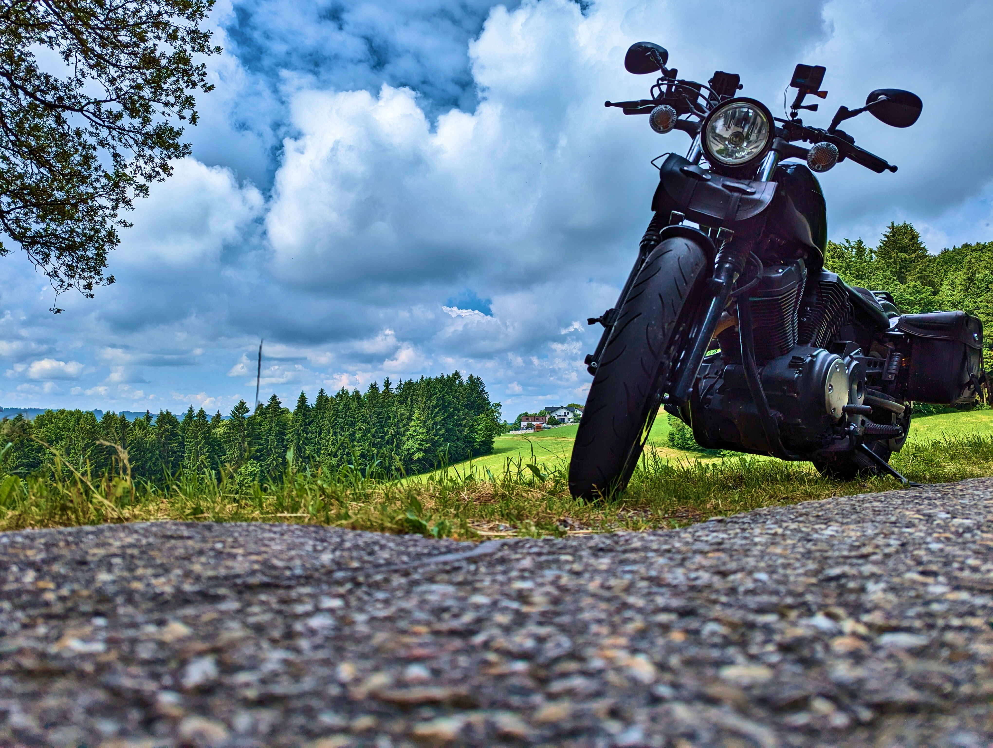 Bolt aus Bodennähe fotografiert