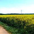 #MotoMontag (168)