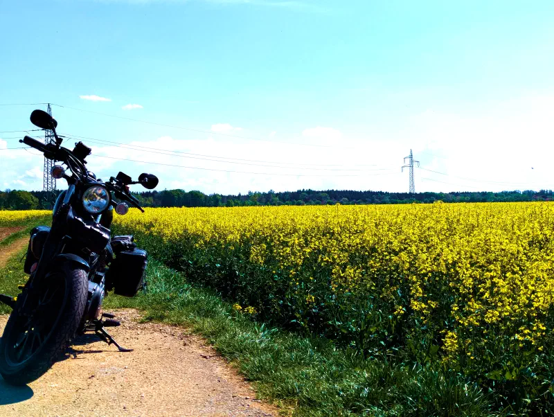 Featured image of post #MotoMontag (168)