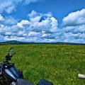 #MotoMontag (17)