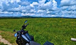 Featured image of post #MotoMontag (17)