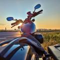 #MotoMontag (47)