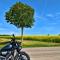 #MotoMontag (59)