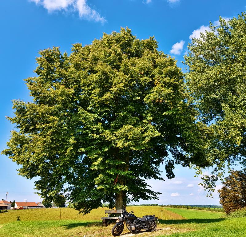 Featured image of post #MotoMontag (6)