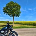 #MotoMontag (64)
