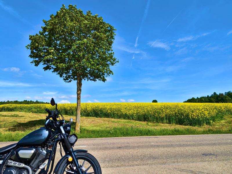 Featured image of post #MotoMontag (64)