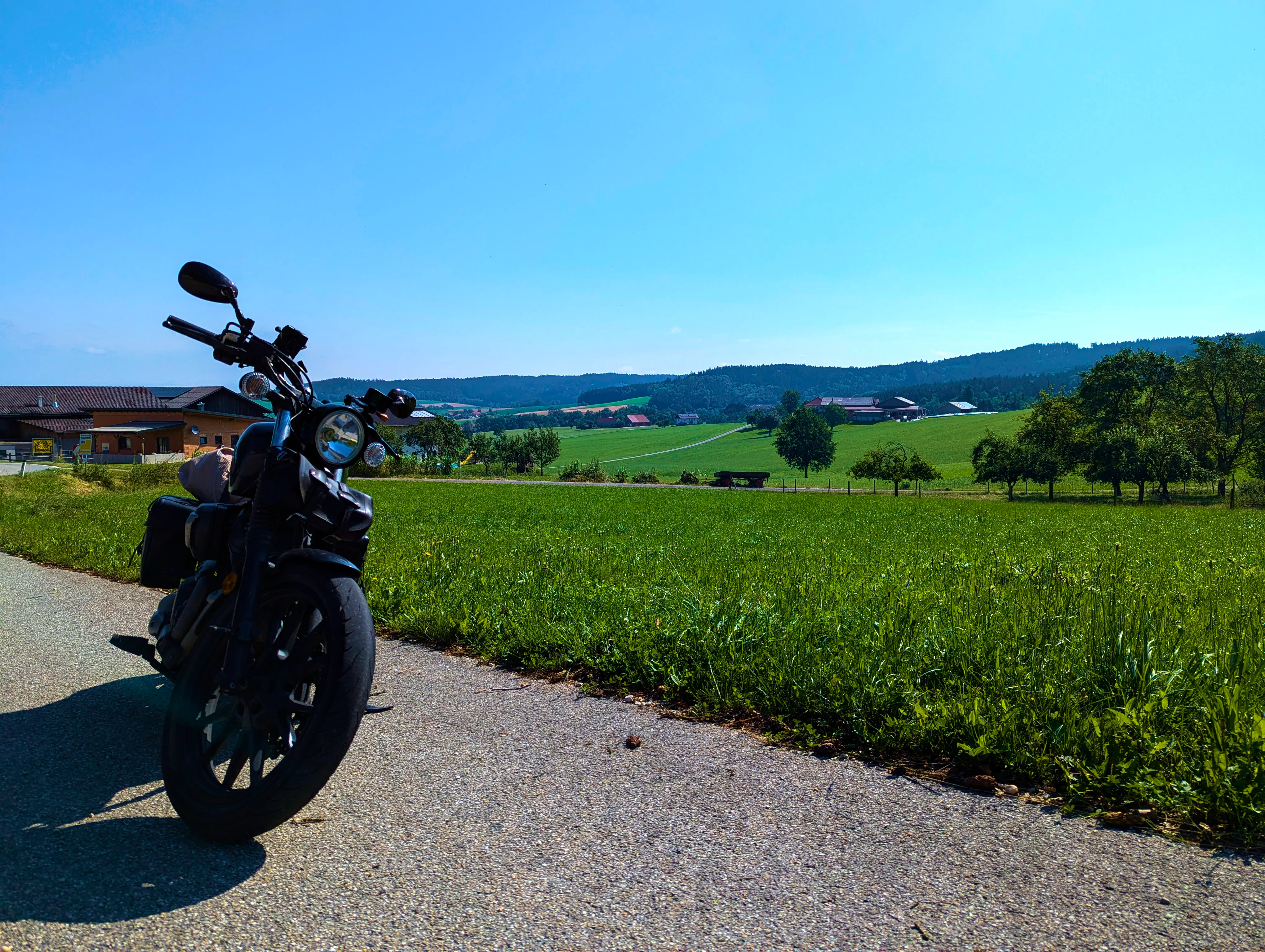 Wald- und Wiesenbolt