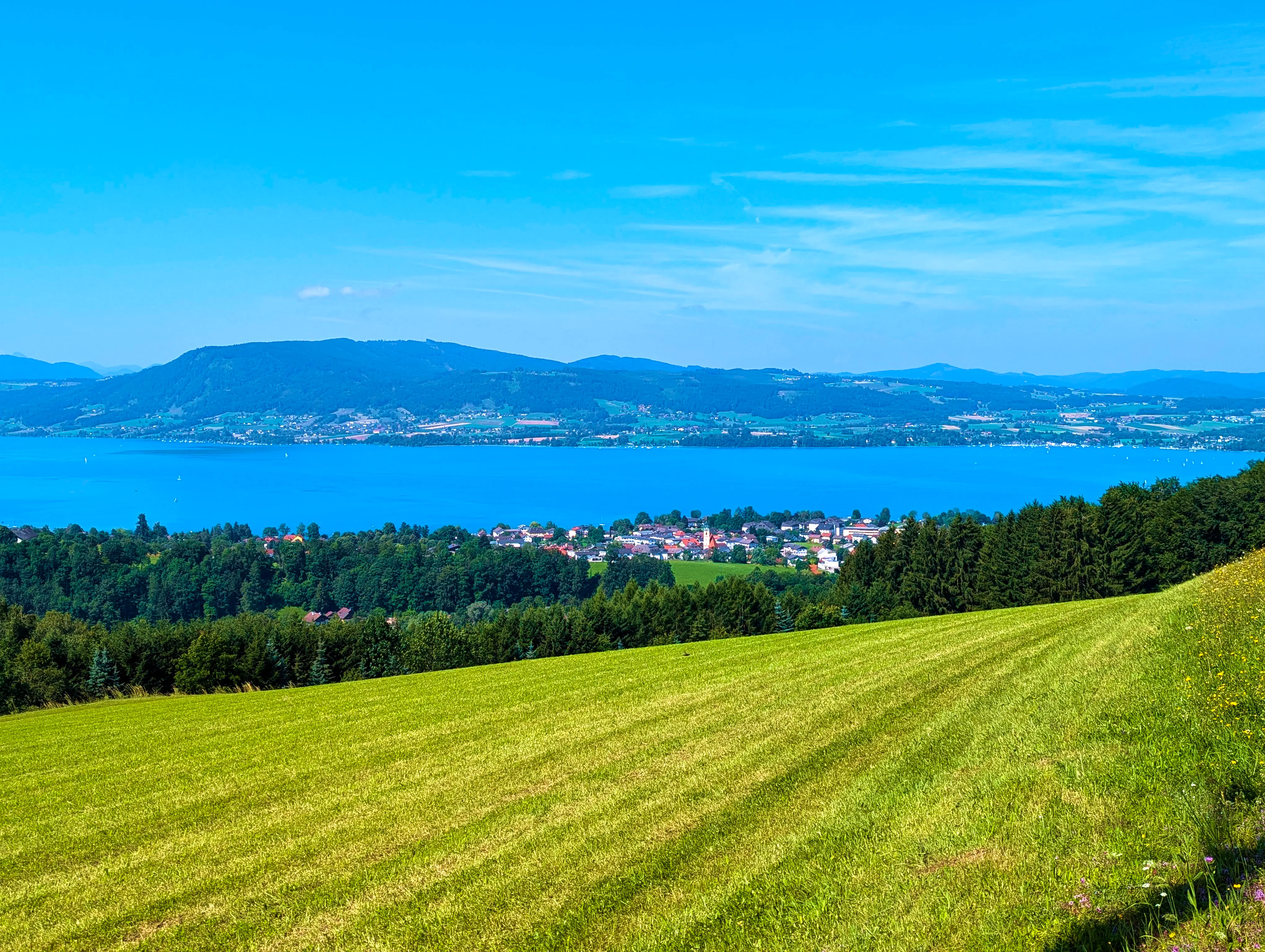 Blick auf den Attersee
