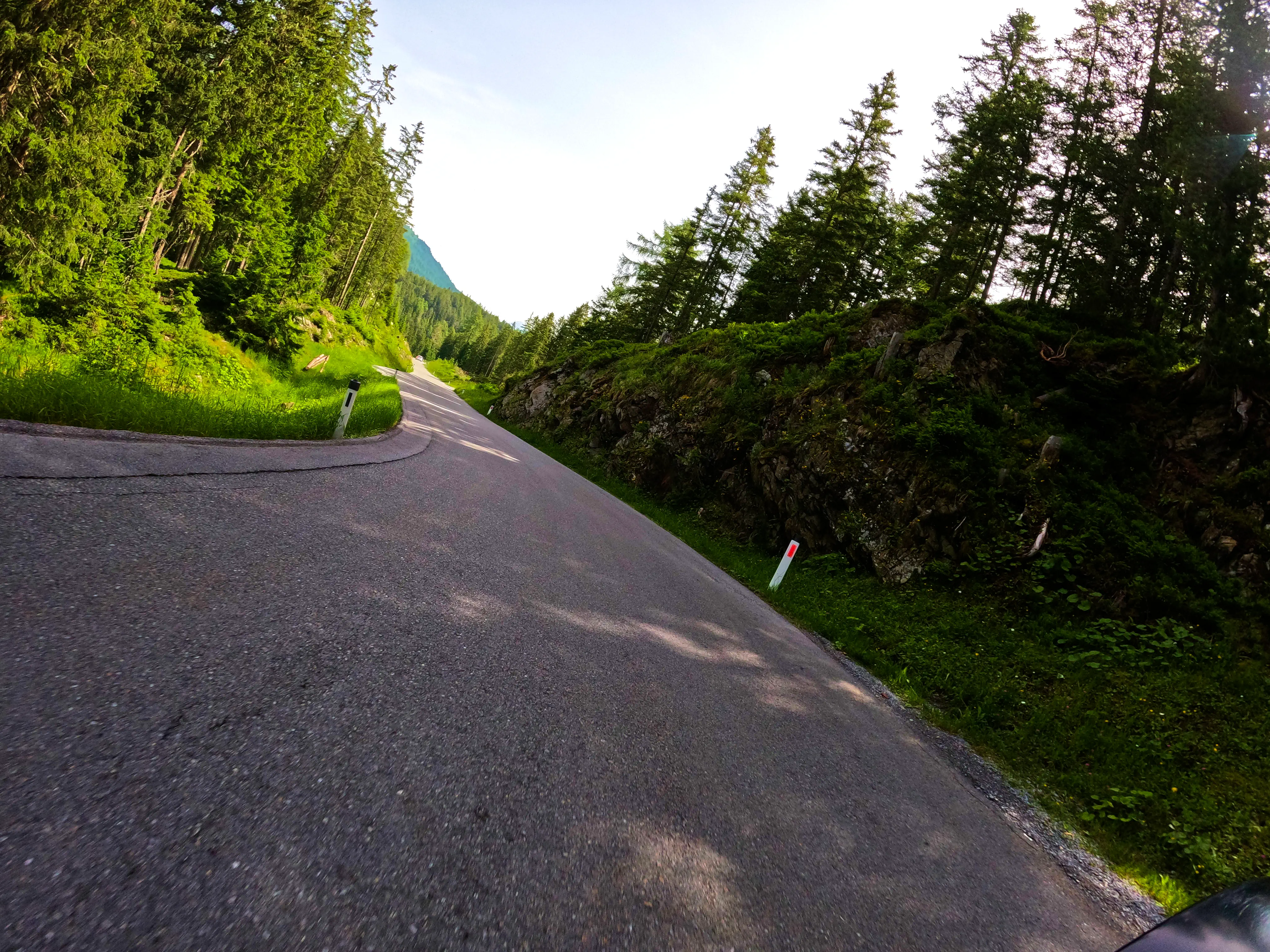 Und anschließend durch den Pillerwald Richtung Imst