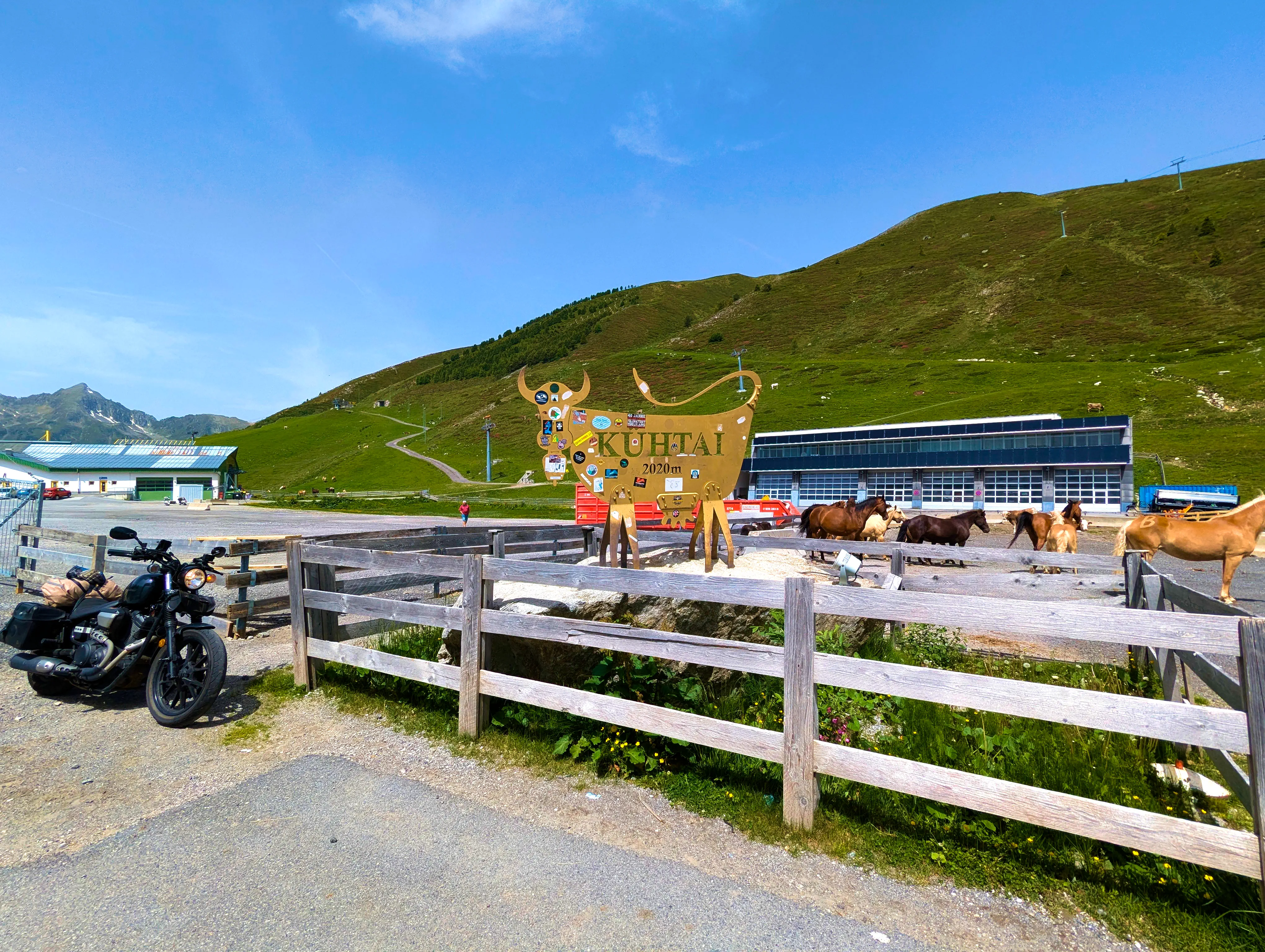 &hellip; Pferde &hellip;