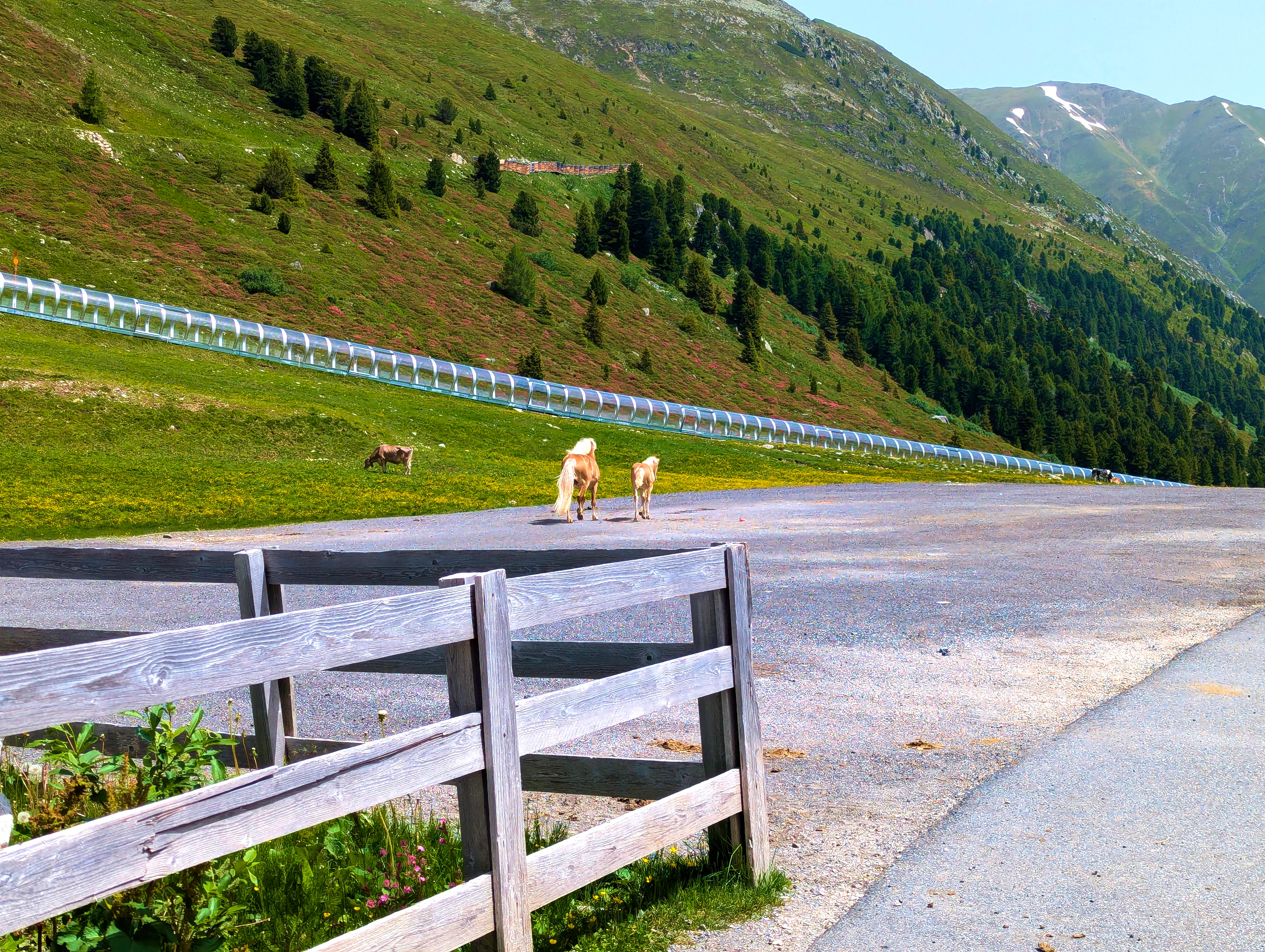 &hellip; Spaß gehabt.