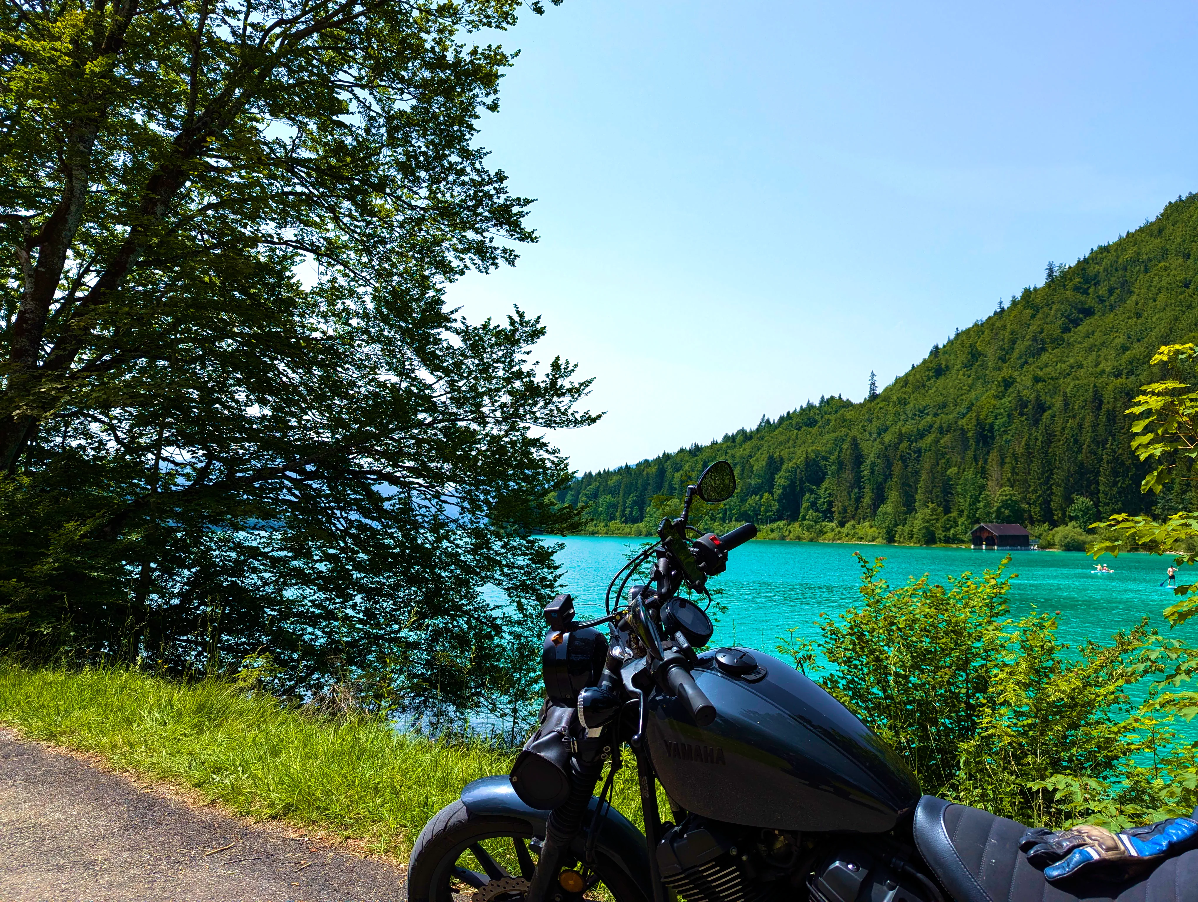 &hellip; schön grün &hellip;