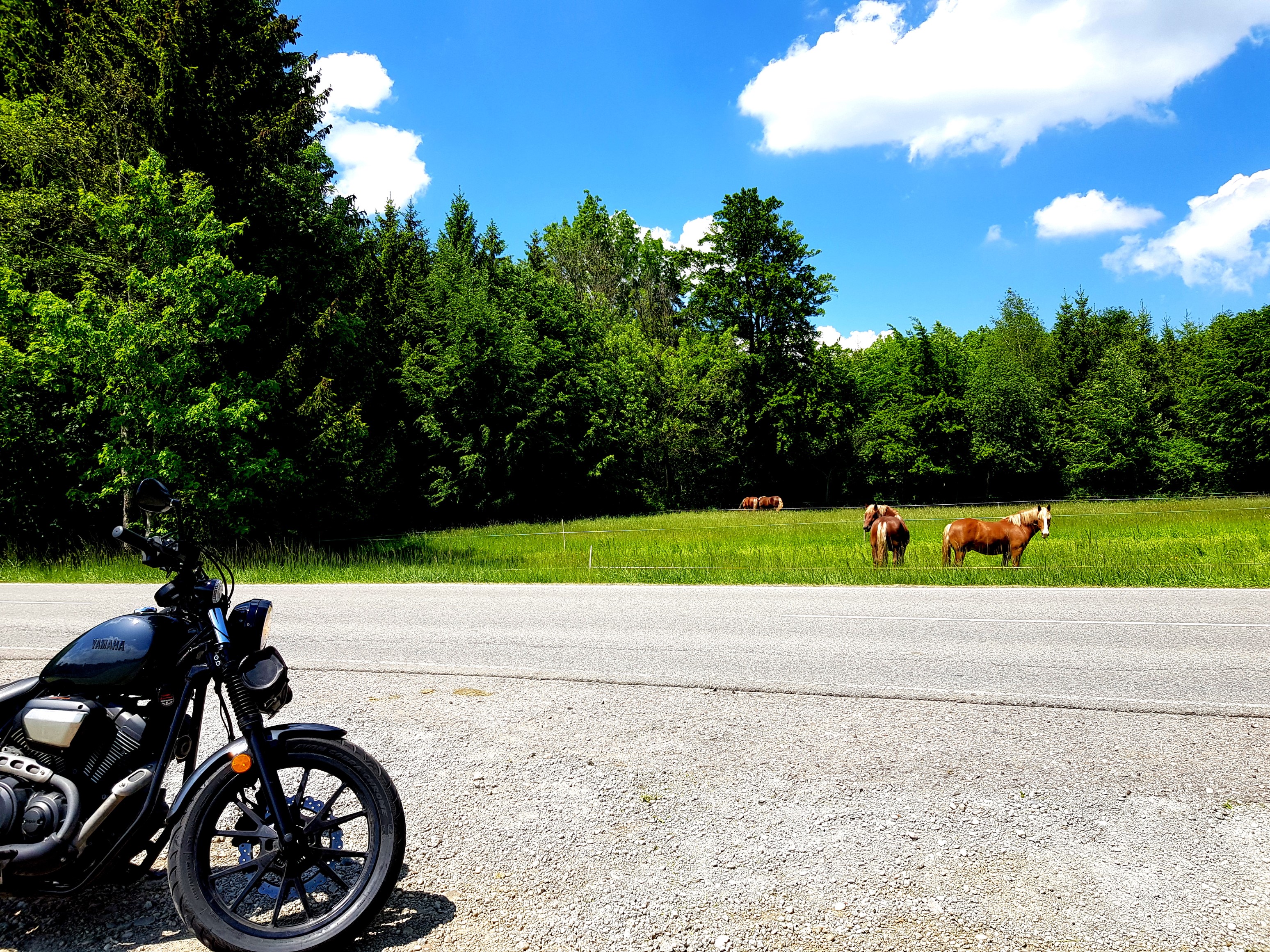 Vier einzelne PS im Hintergrund, 54 PS im Vordergrund.