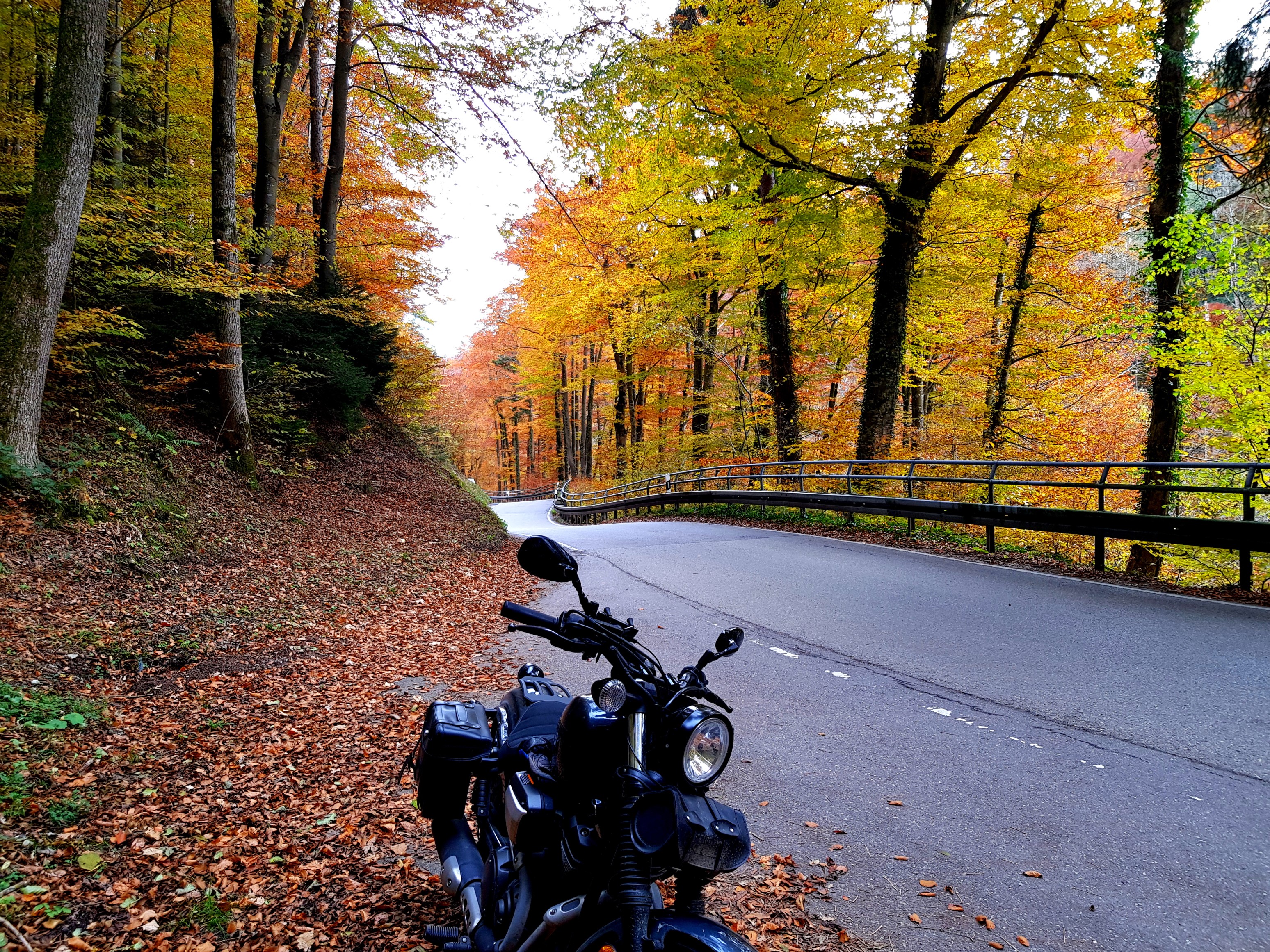 Ein &ldquo;Tunnel&rdquo; &hellip;