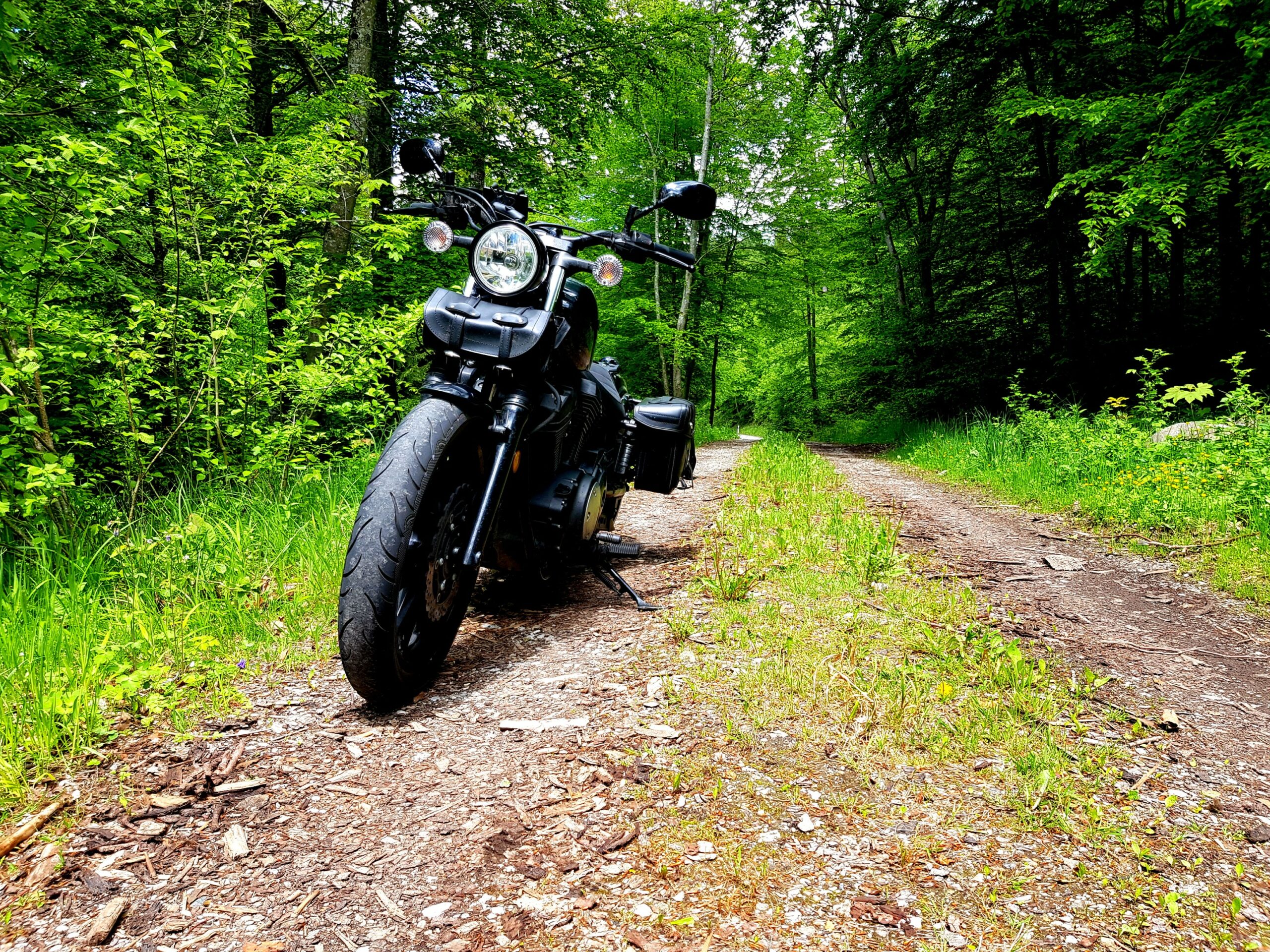 Kleines Offroad-Stück neben der Hausstrecke