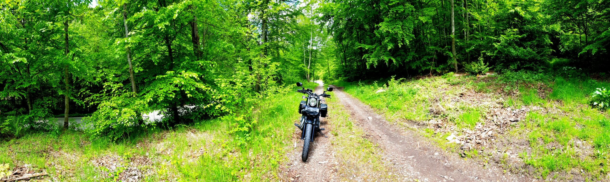 Rechts die normale Straße, mittig der Waldweg