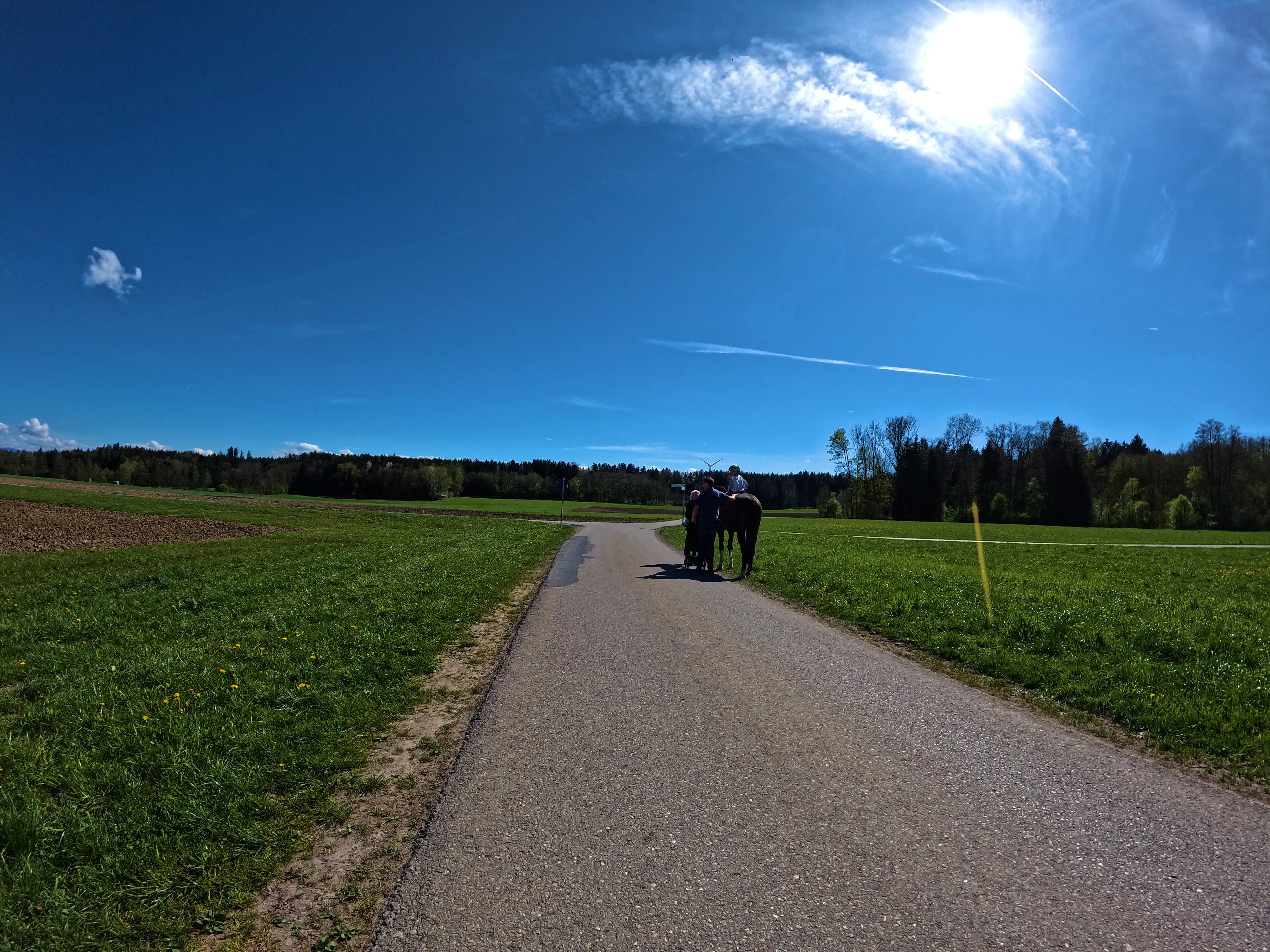 Ruhig am Pferd vorbei