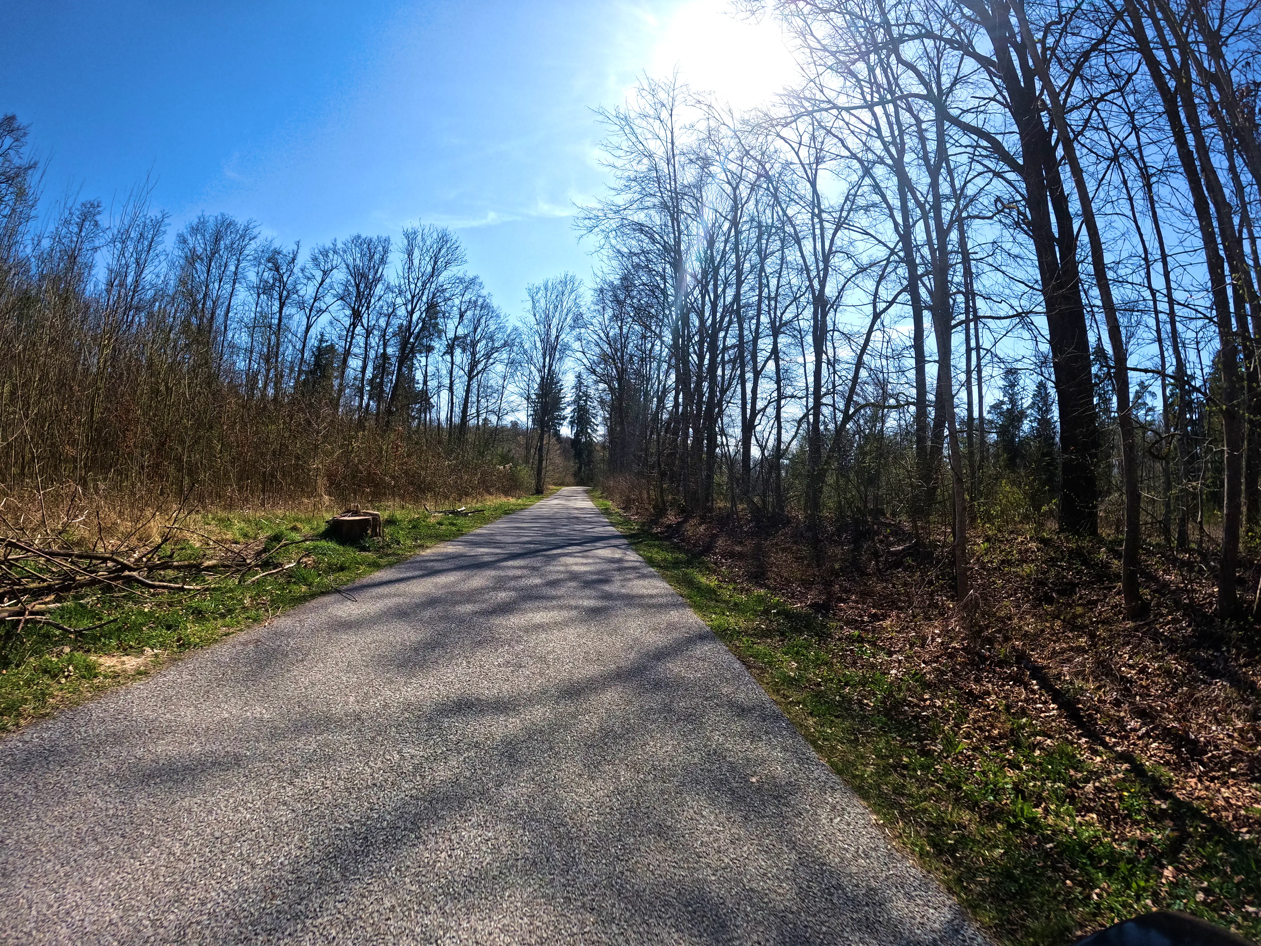 &hellip; und im Wald &hellip;