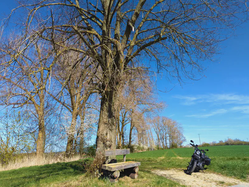 Featured image of post Rastbankerl 2025