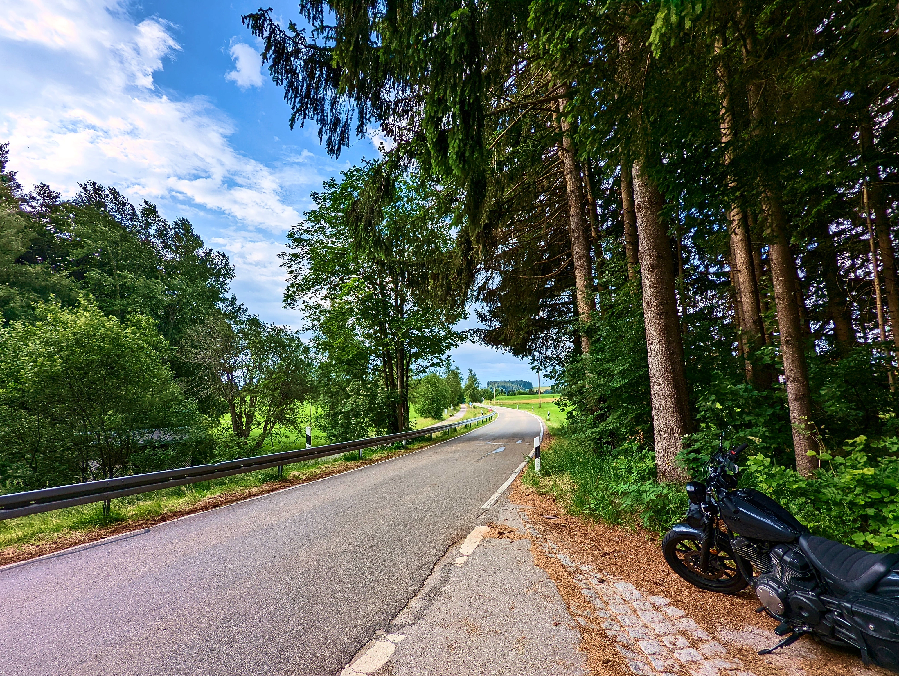 &hellip; durch kurvige Waldstraßen